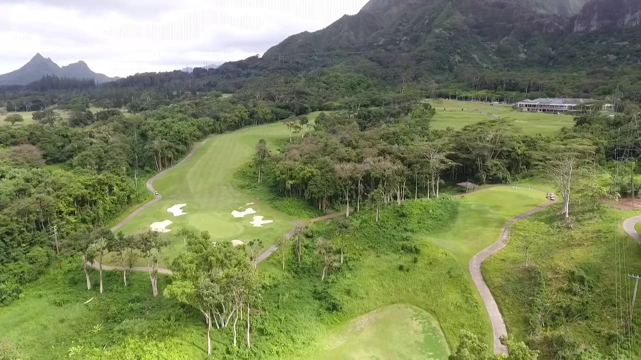 Hawaii Golf Club Rentals - Image 1
