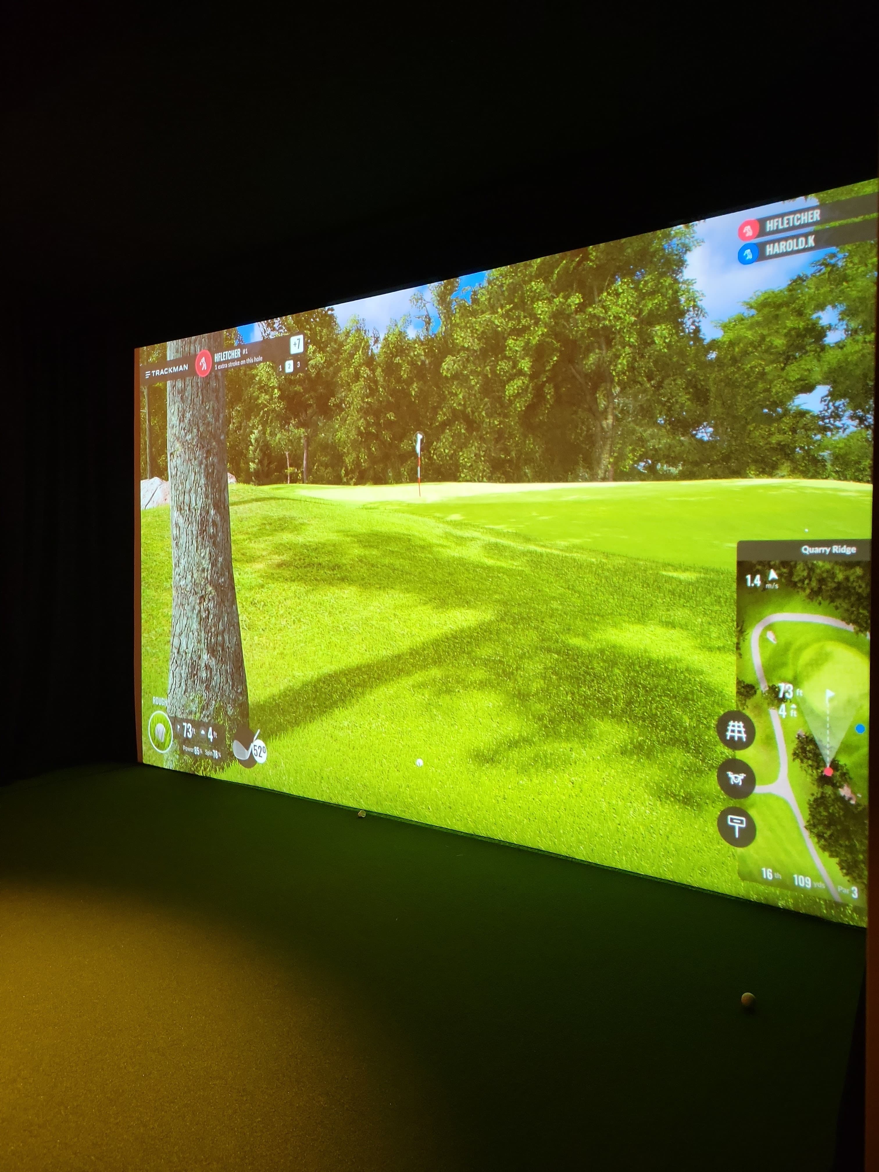 2FOGS's Golf - Image 9