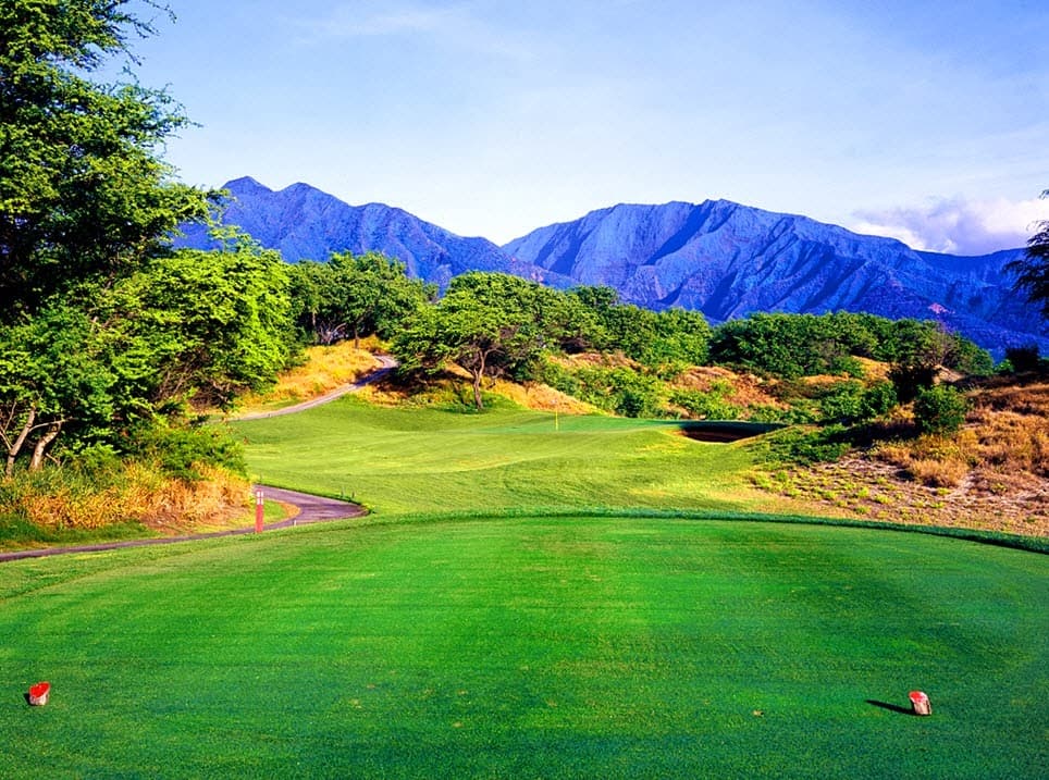 Hawaii Golf Schools - Image 5