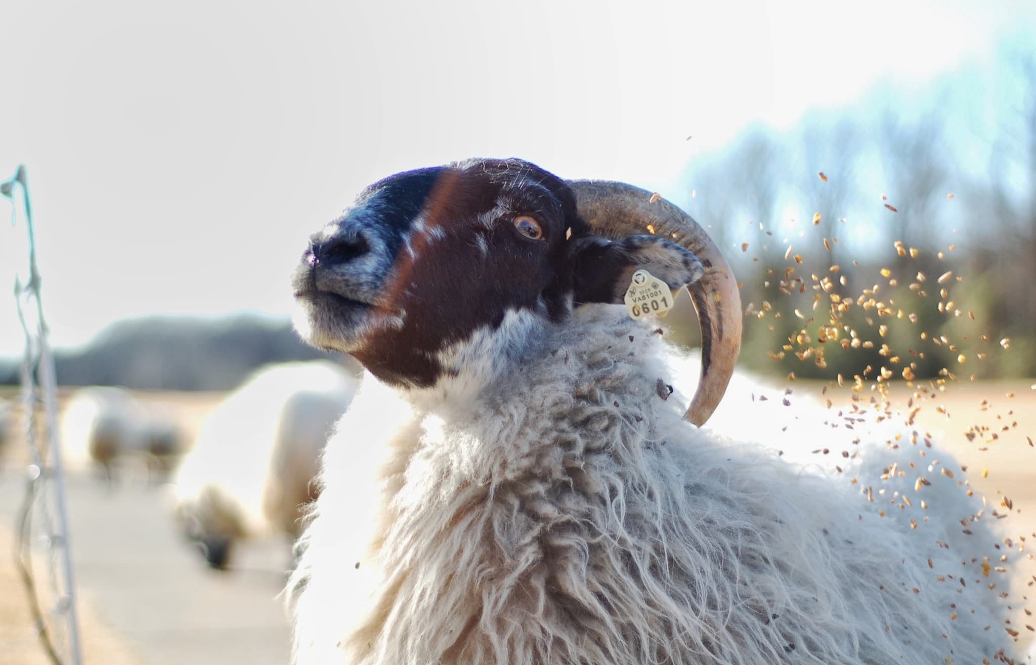 Hermitage Golf Course - Image 1