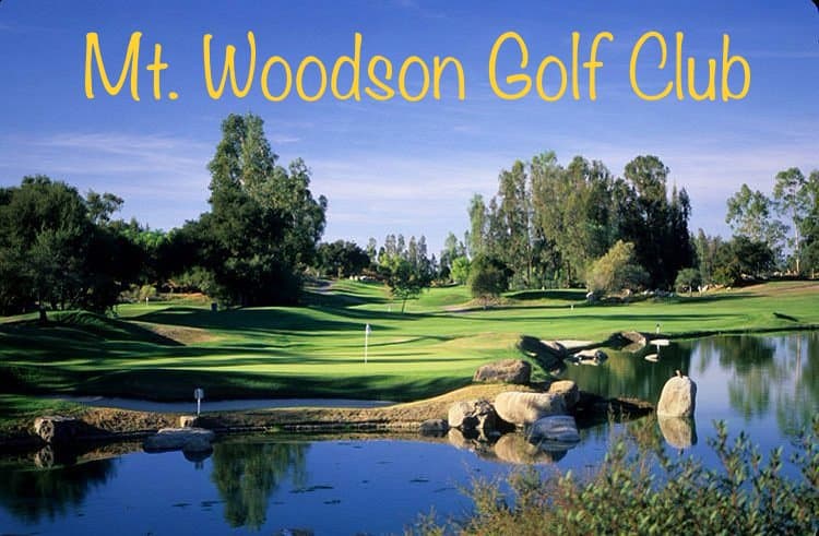 All Fore One Golf Club - Image 3