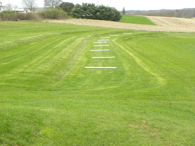 Perfect Swing - Image 2