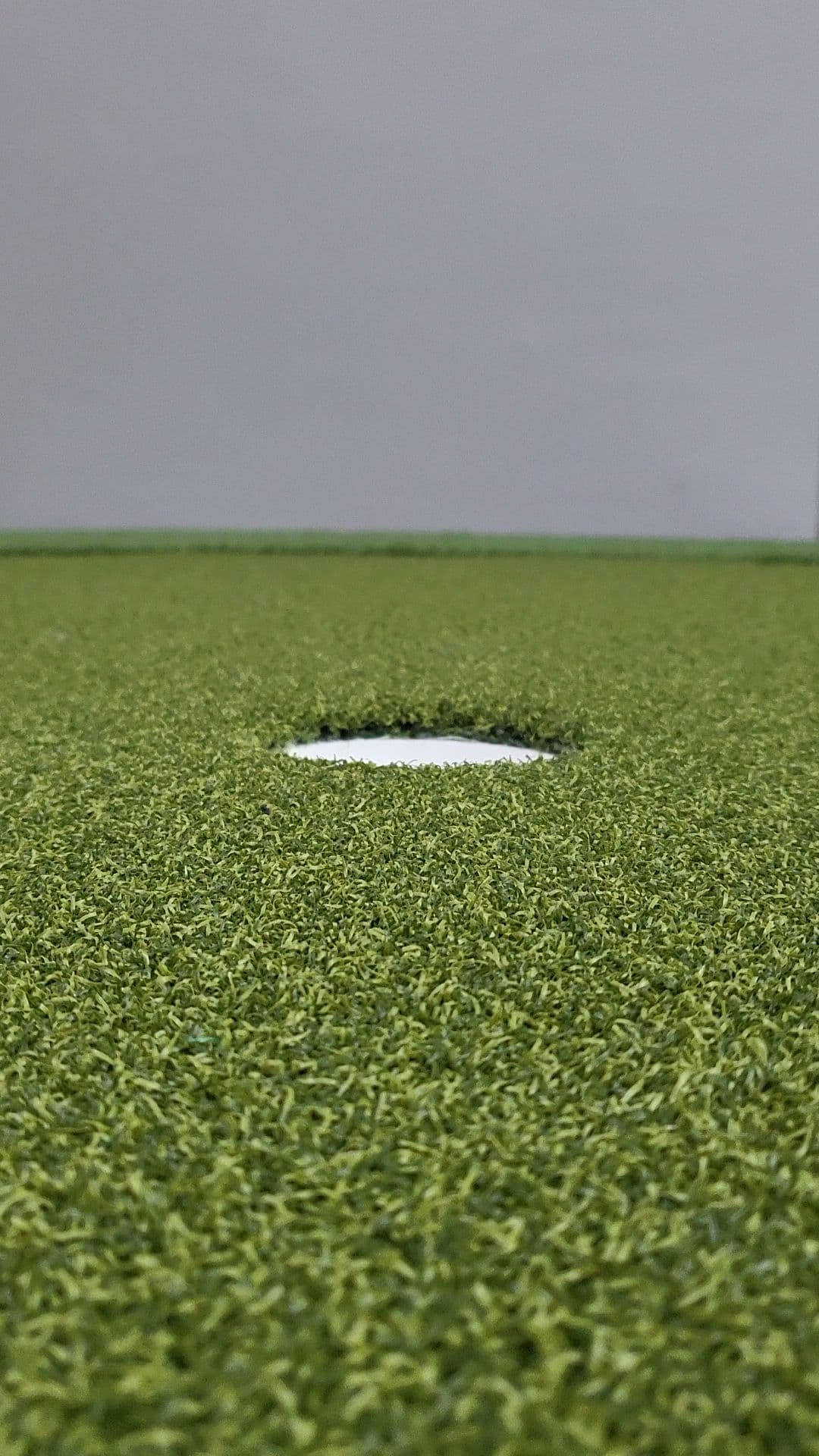 Aces Indoor Golf Club - Image 2