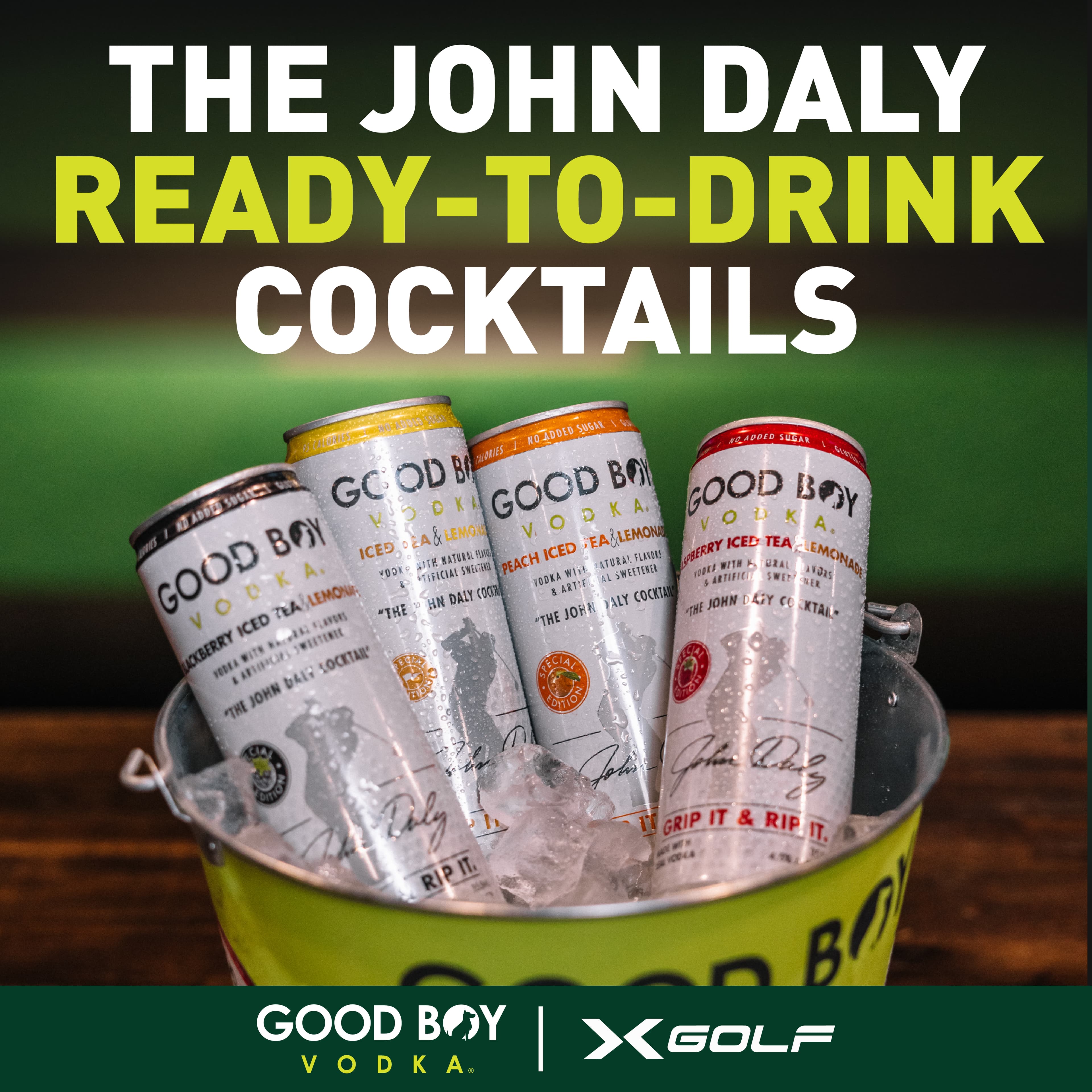 X-Golf Solon - Image 7