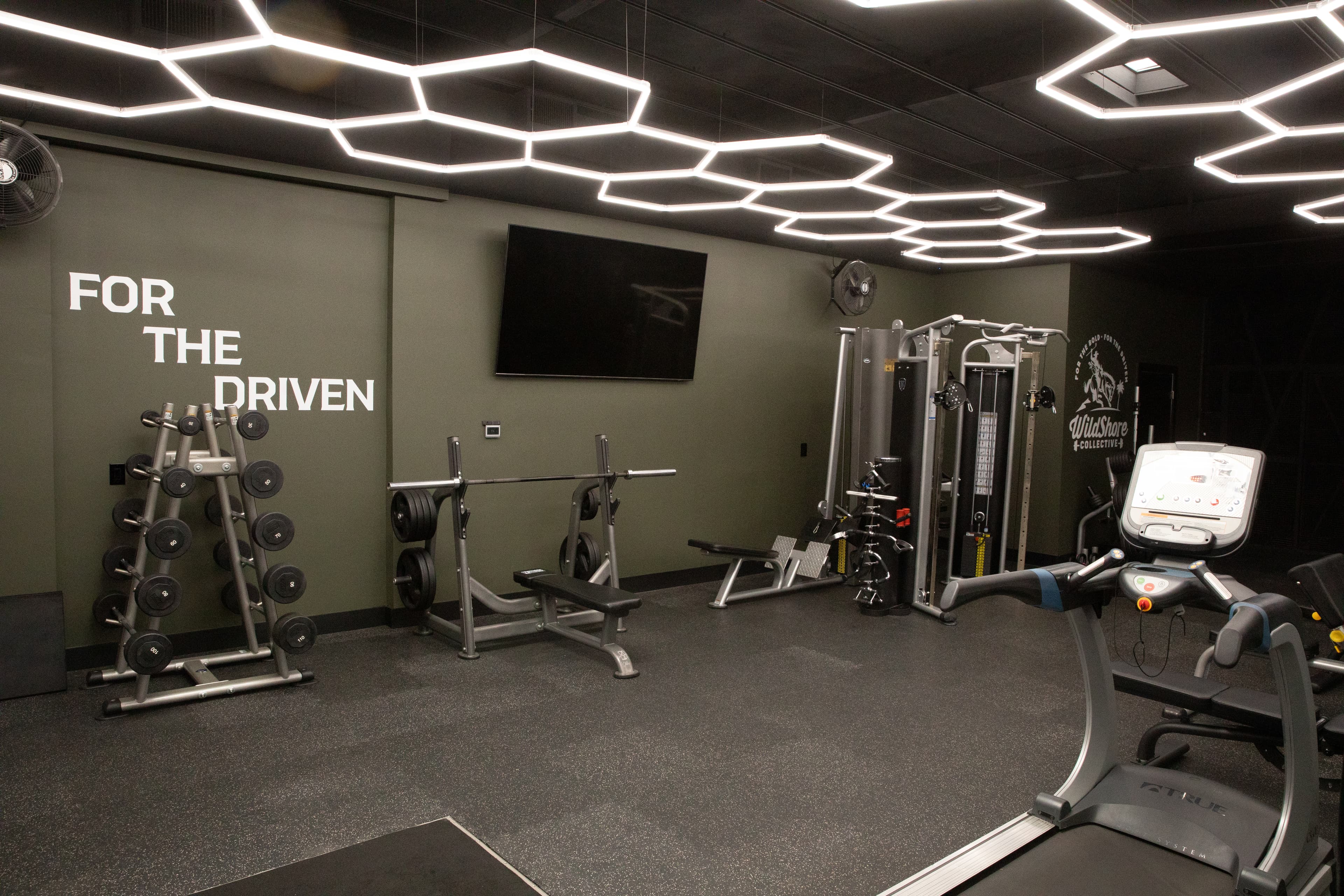 WildShore Collective - Image 2