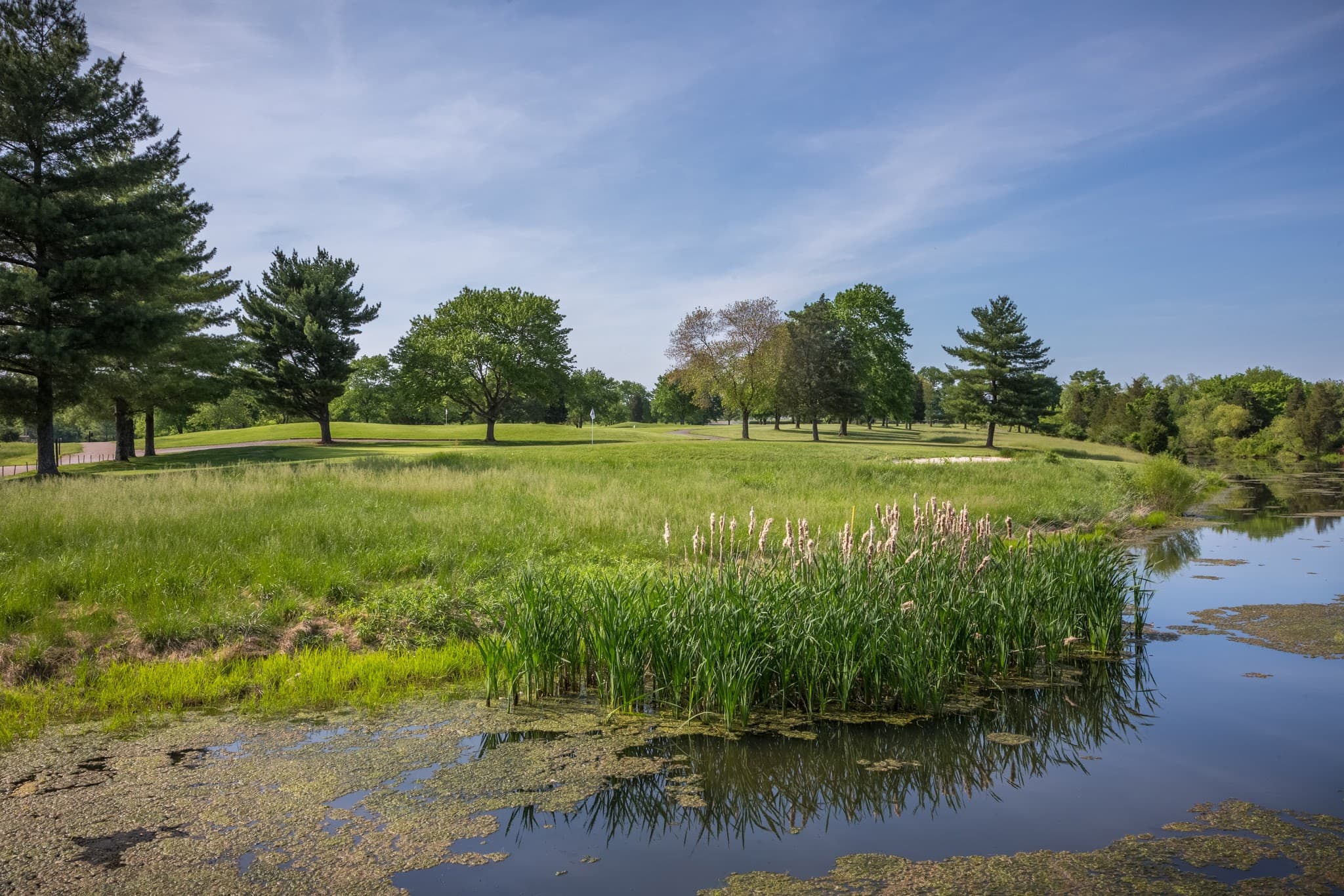 The Crossvines - Image 14