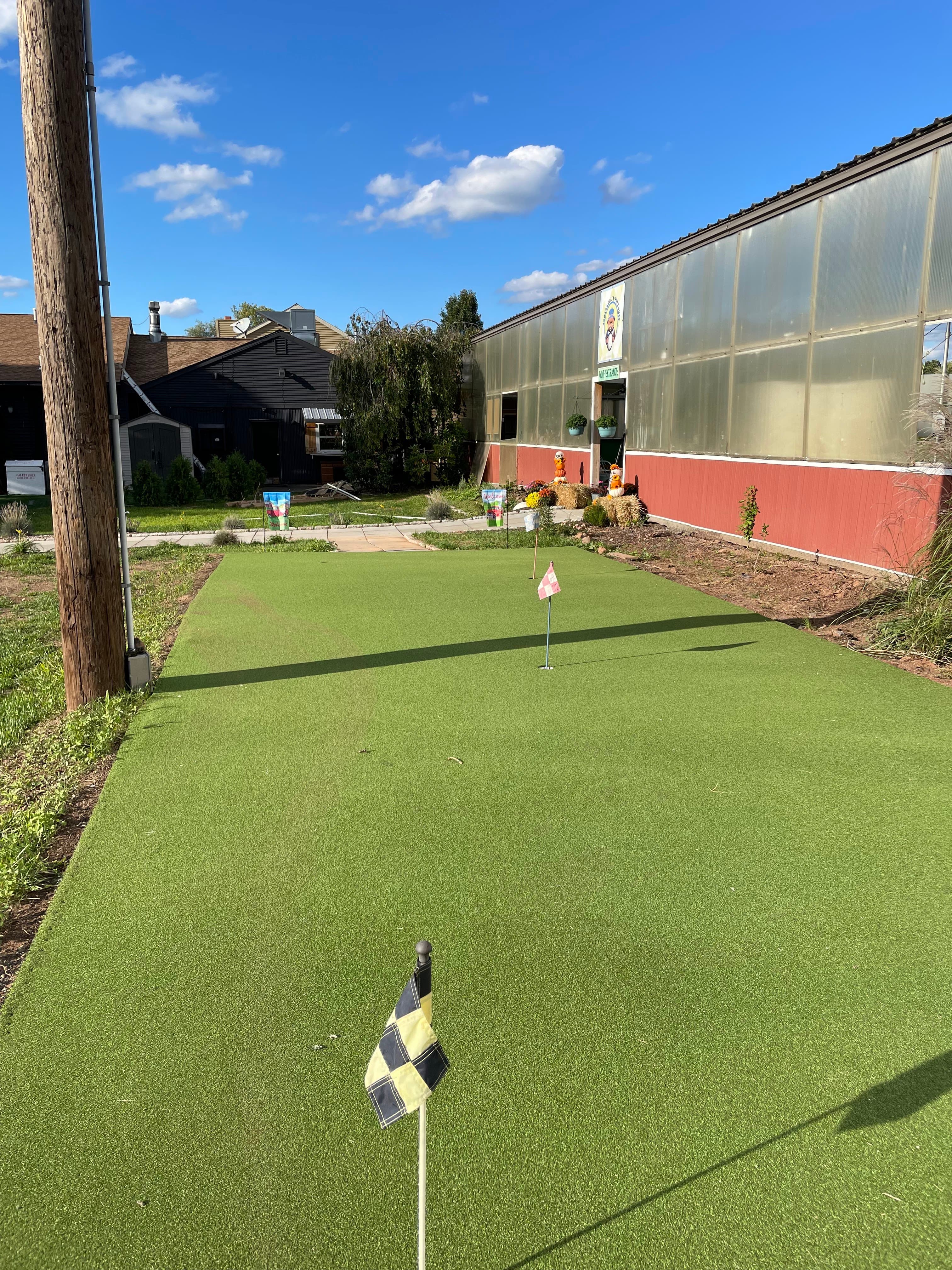 Torza's Golf - Image 3