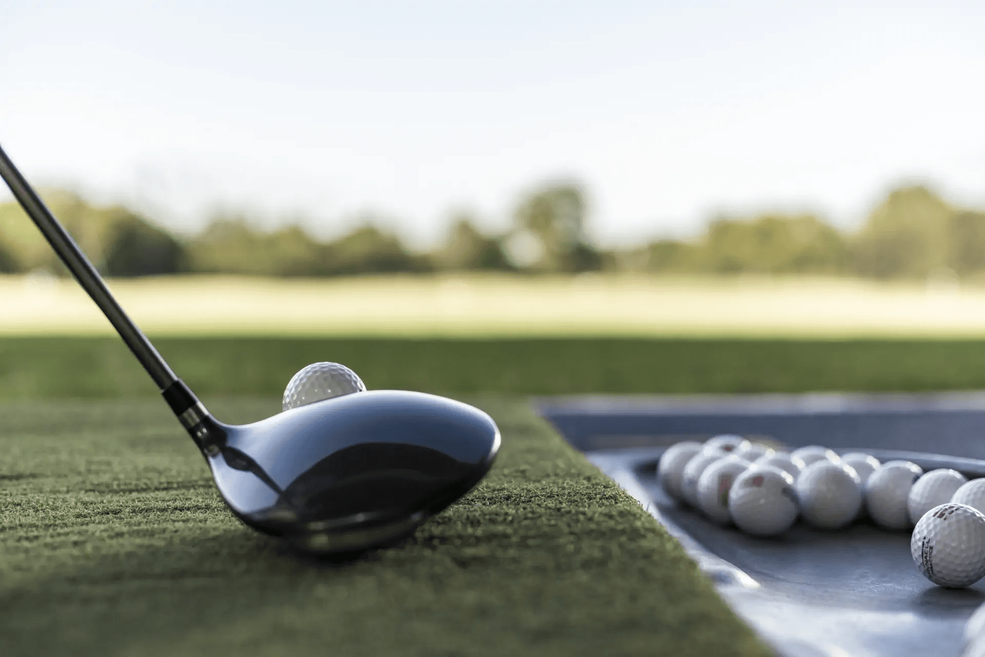 Alder Hills Virtual Lounge - Image 3