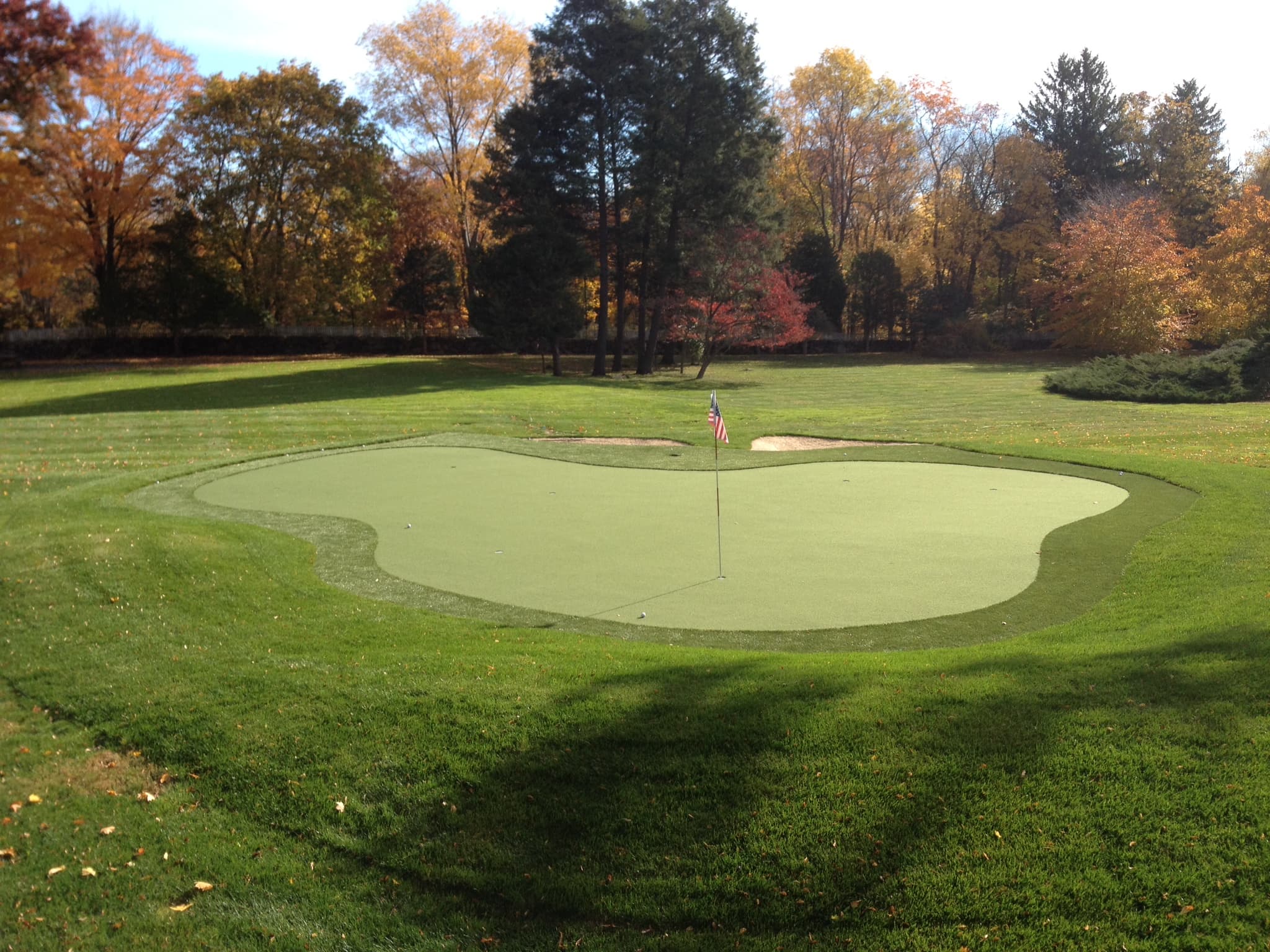 Prolinks Putting Greens - Image 4