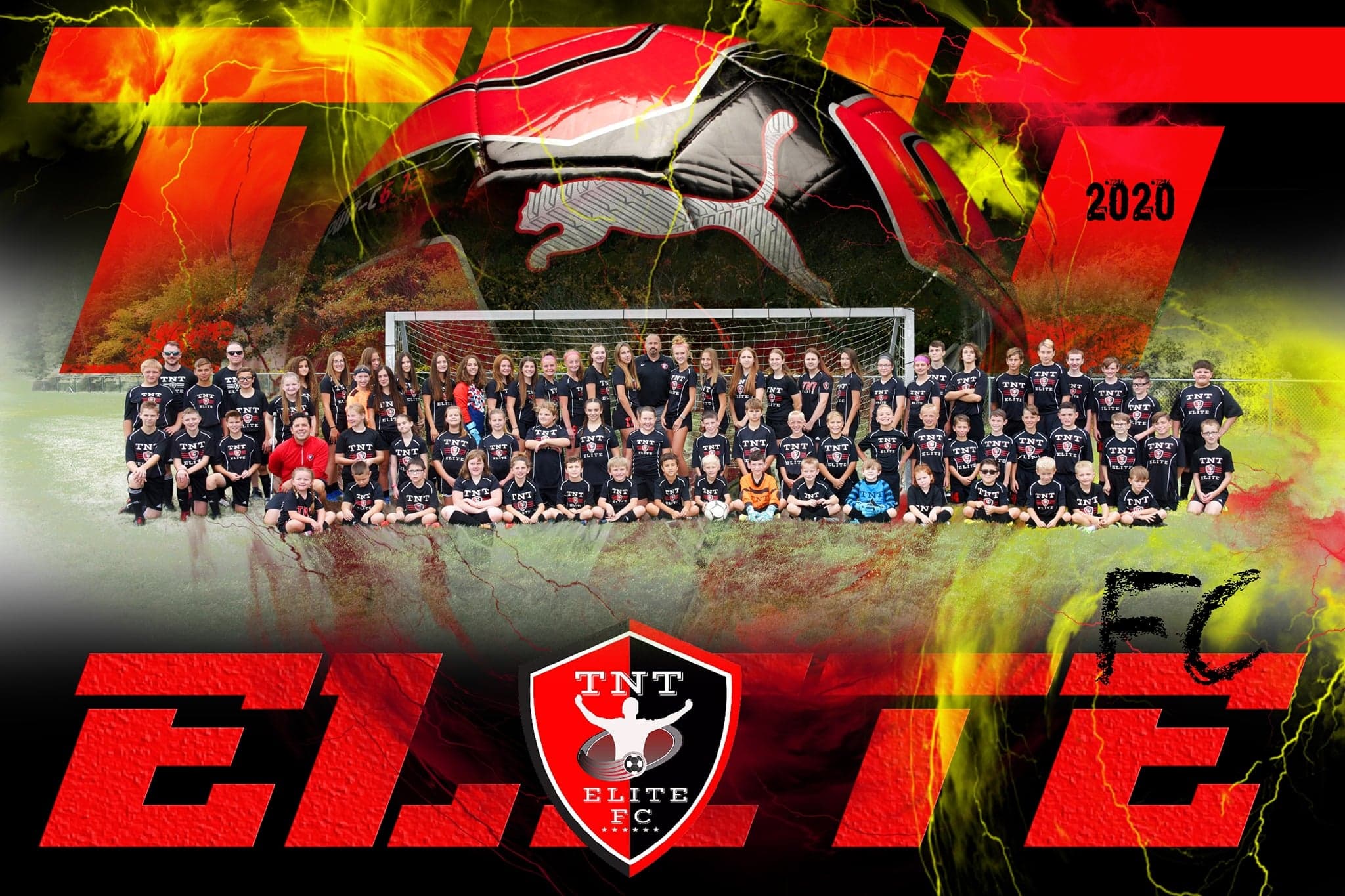 TNT Elite Sports Academy - Image 2