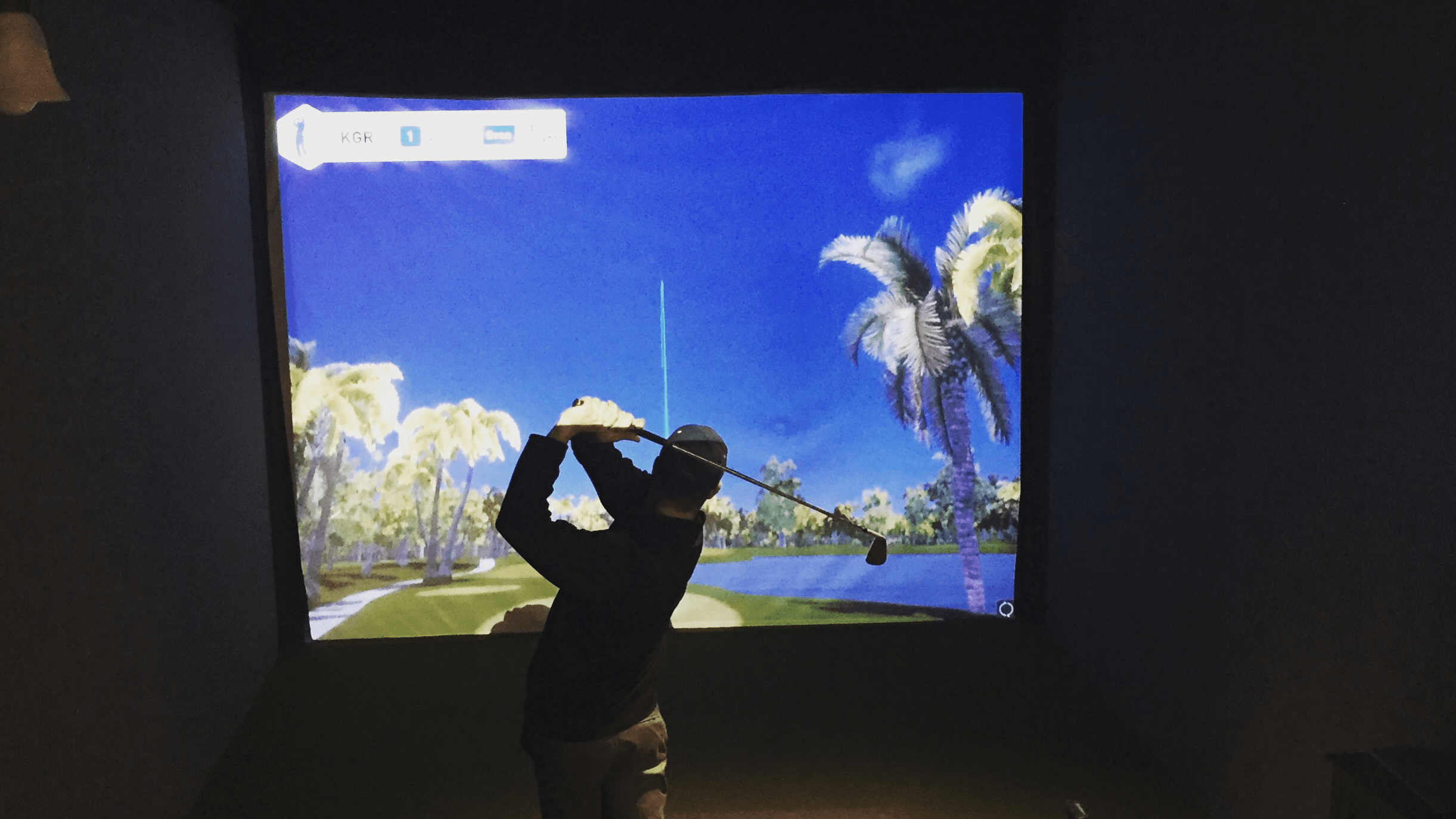 Legends Indoor Golf - Image 1