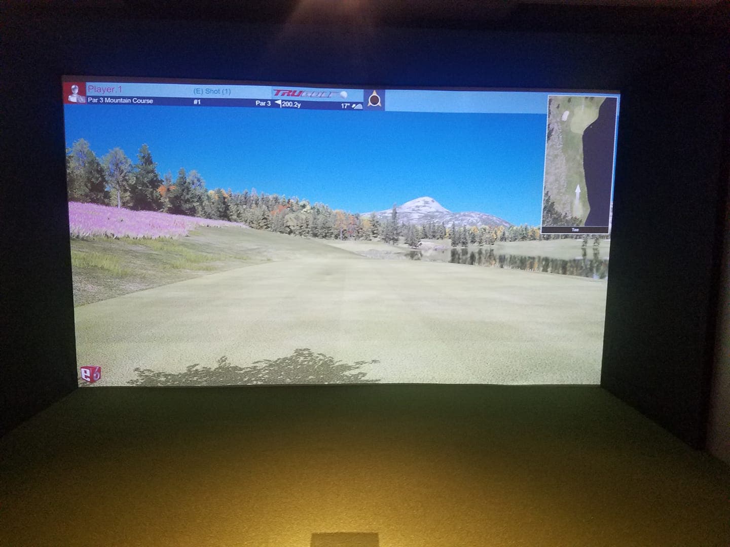 Tee 2 Green Indoor Golf - Image 7