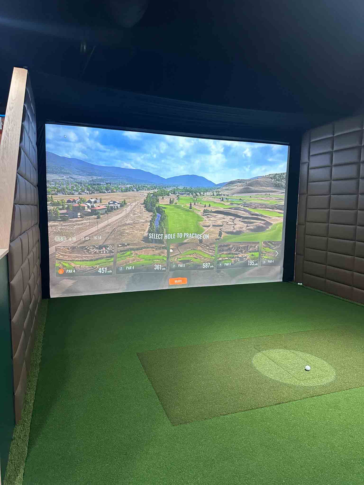 Indoor Birdies - Image 2