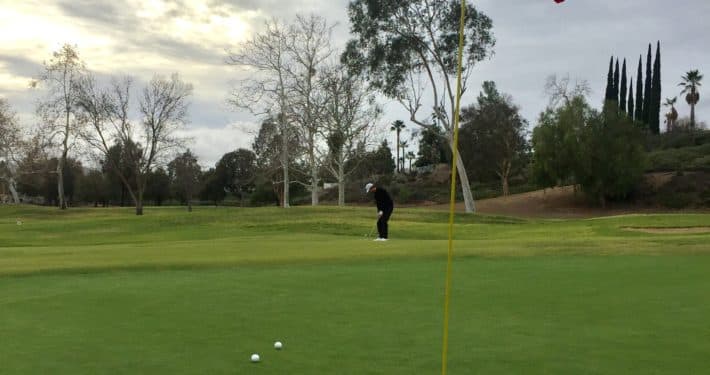 Mike Metz Golf - Image 2