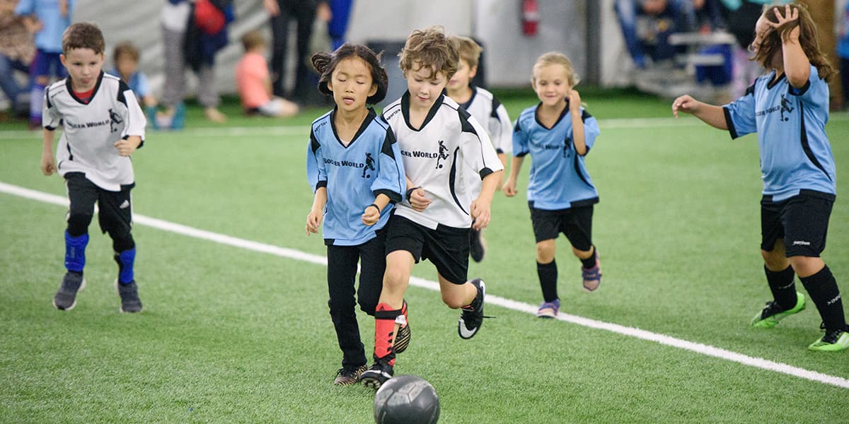 Soccer World - Image 1