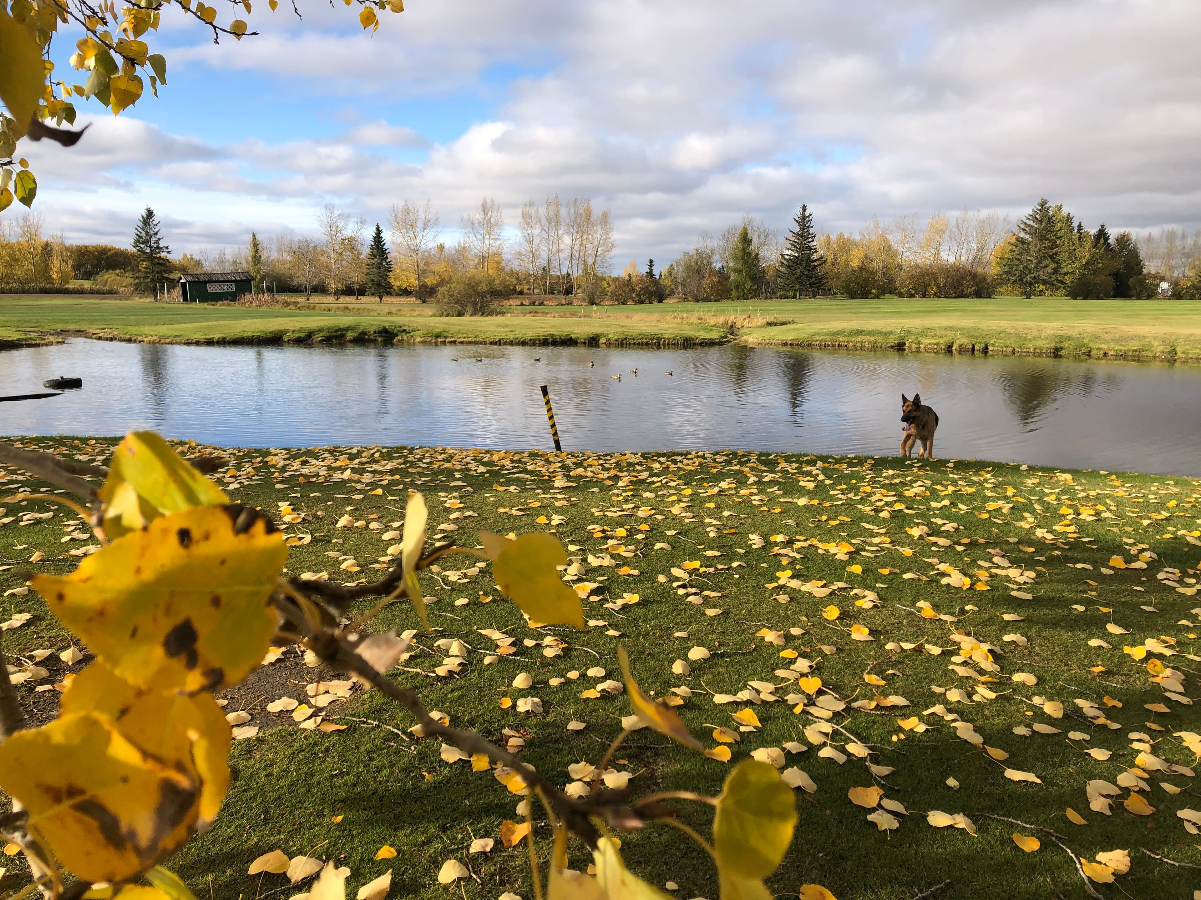 Rolling Green Fairways Golf Course and RV Park - Image 7