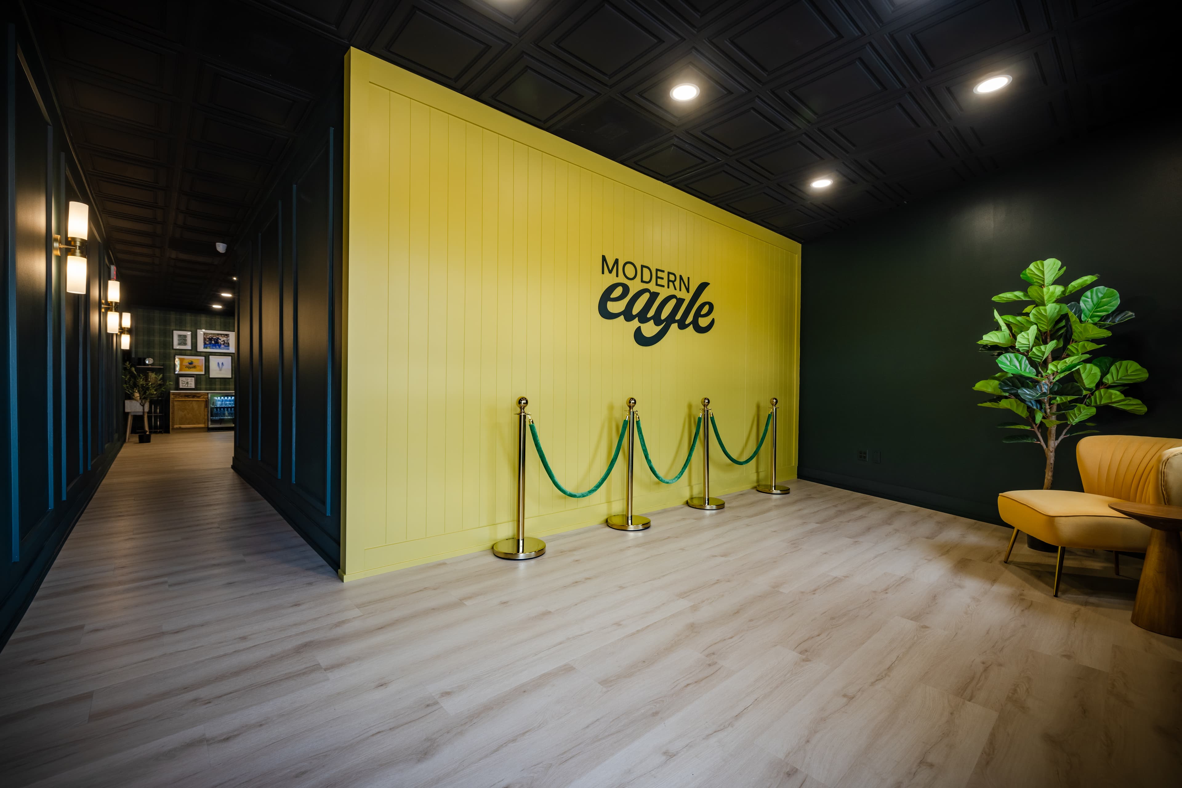 Modern Eagle - Image 11