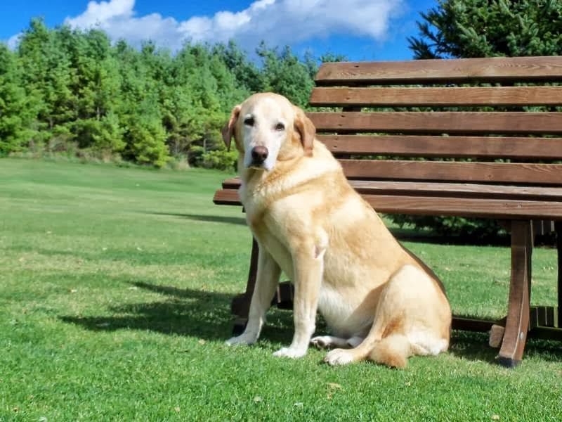 Eastwin Valley Golf & FootGolf Course - Image 5