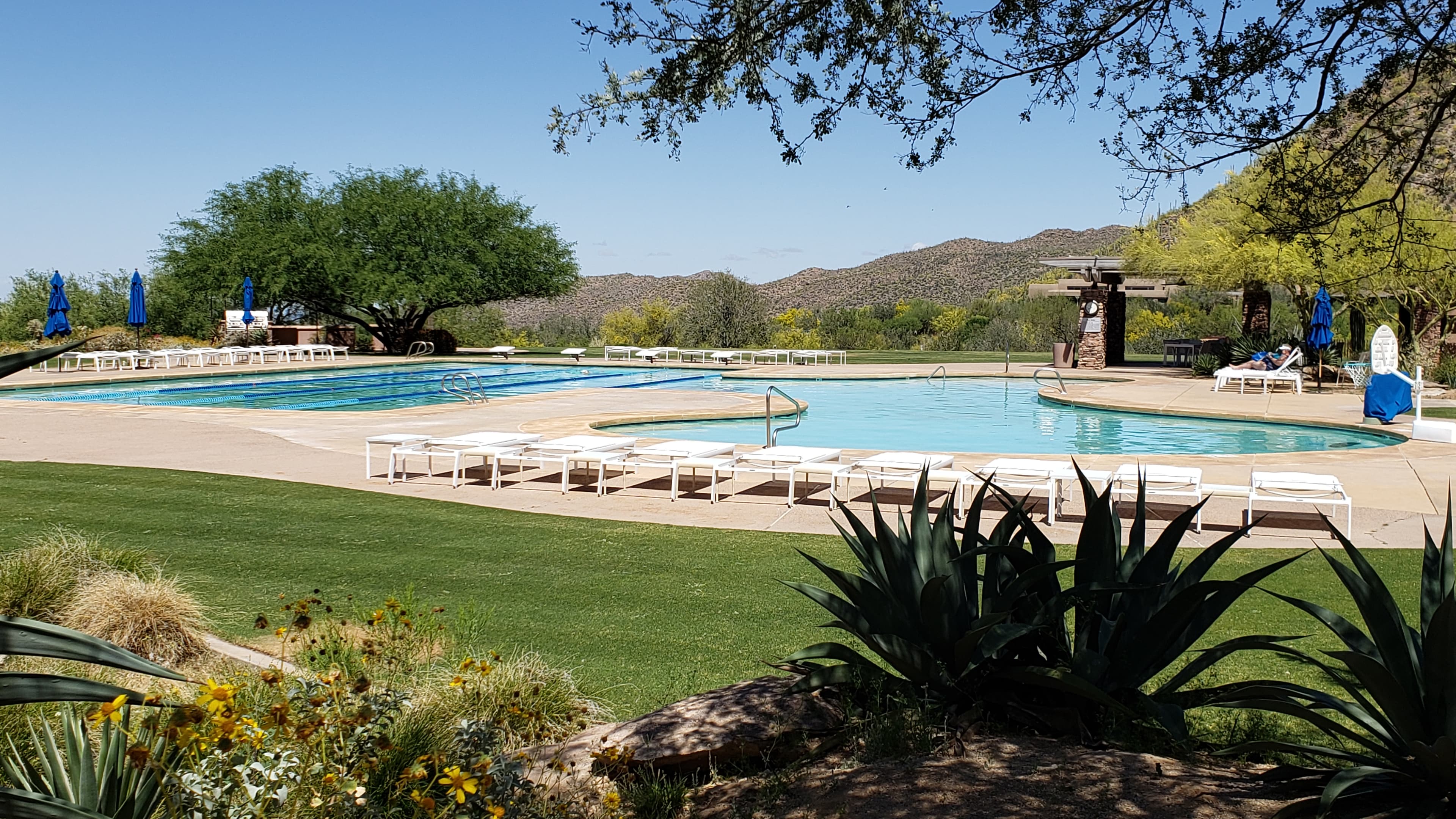 The Gallery Sports Club - Image 1