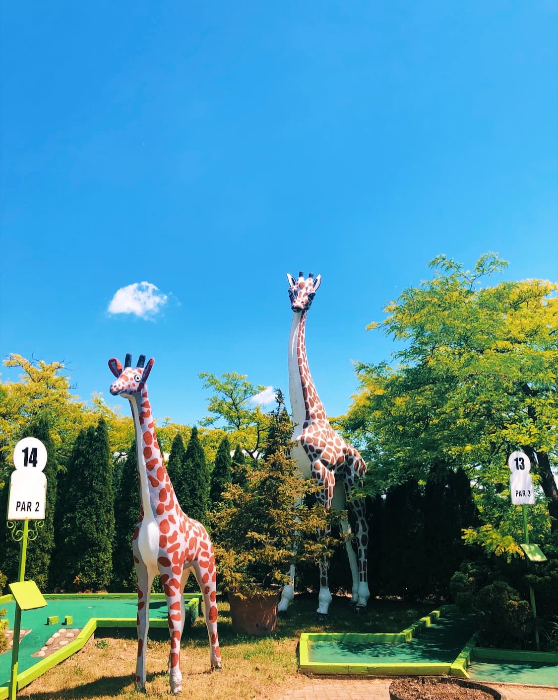 Niagara Go-Karts - Image 16