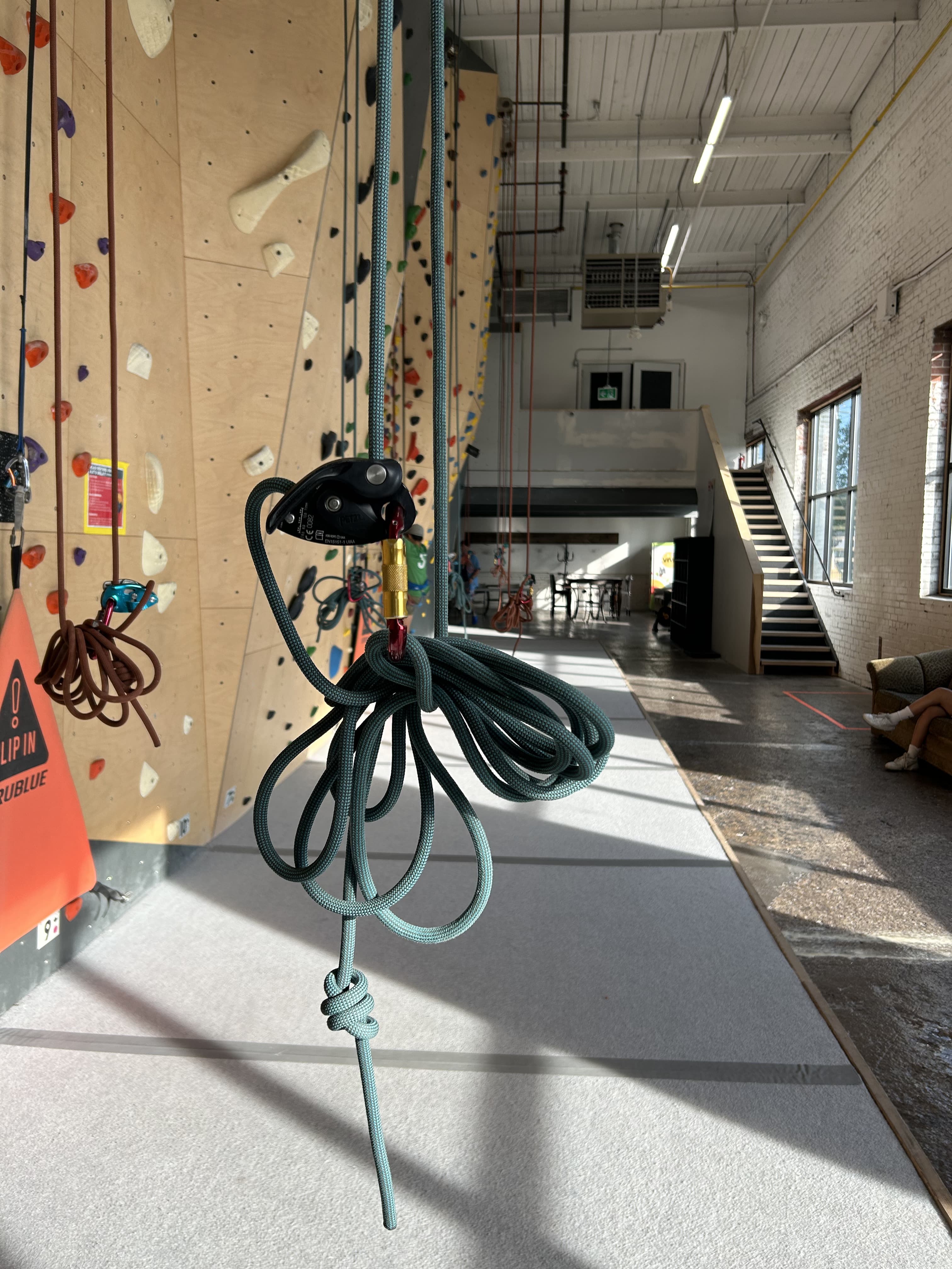 The Guelph Grotto - Image 6