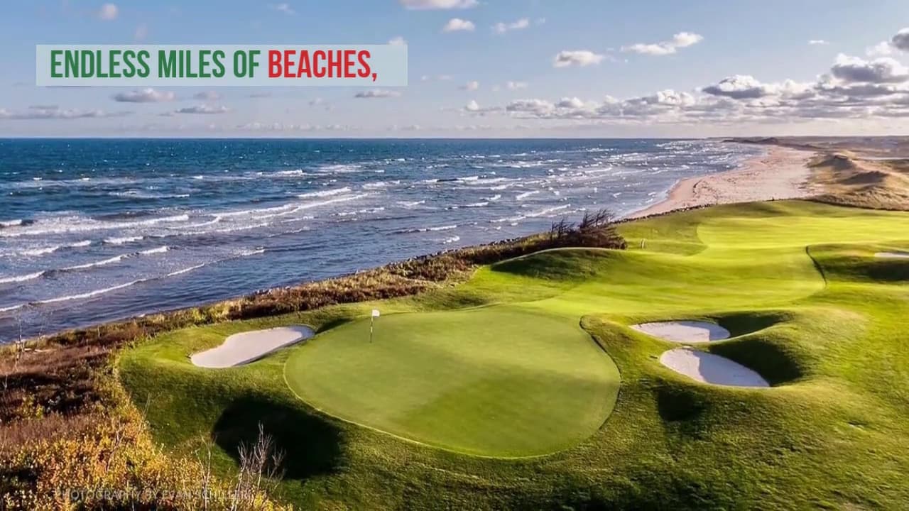 Fairway Finds by Golf PEI - Image 2