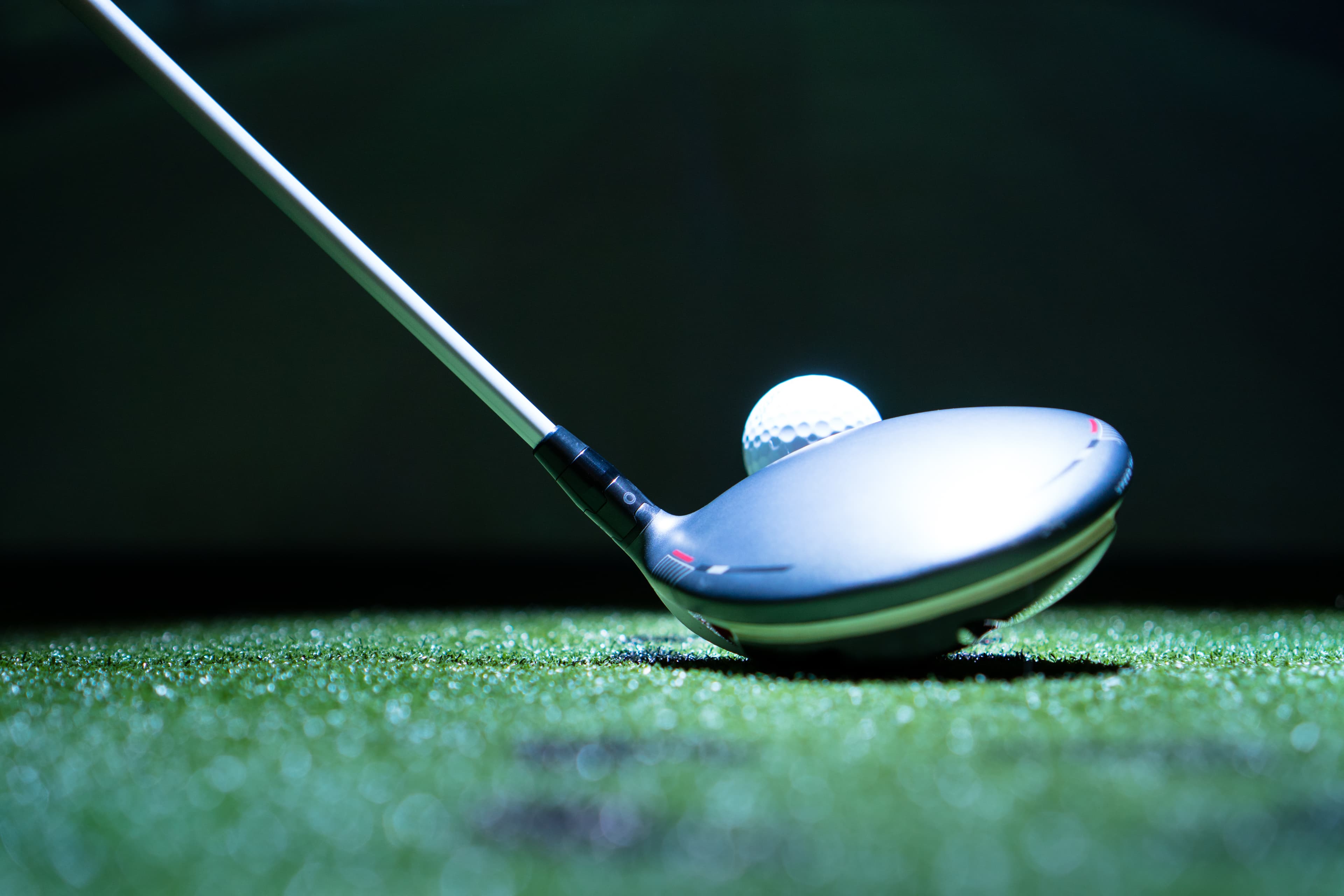 The Birdie Barn - Image 8