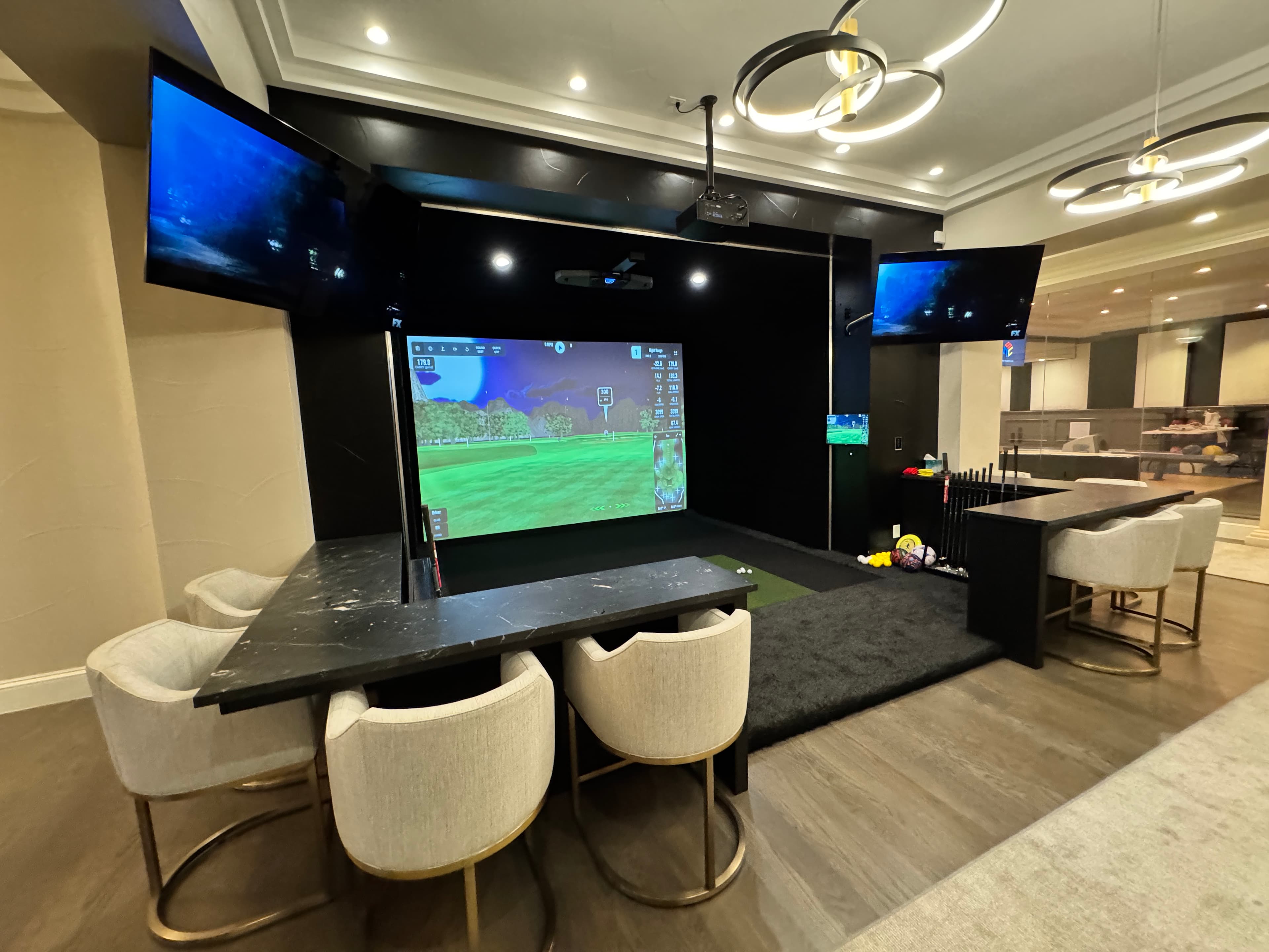 Next Level Sims - Image 3