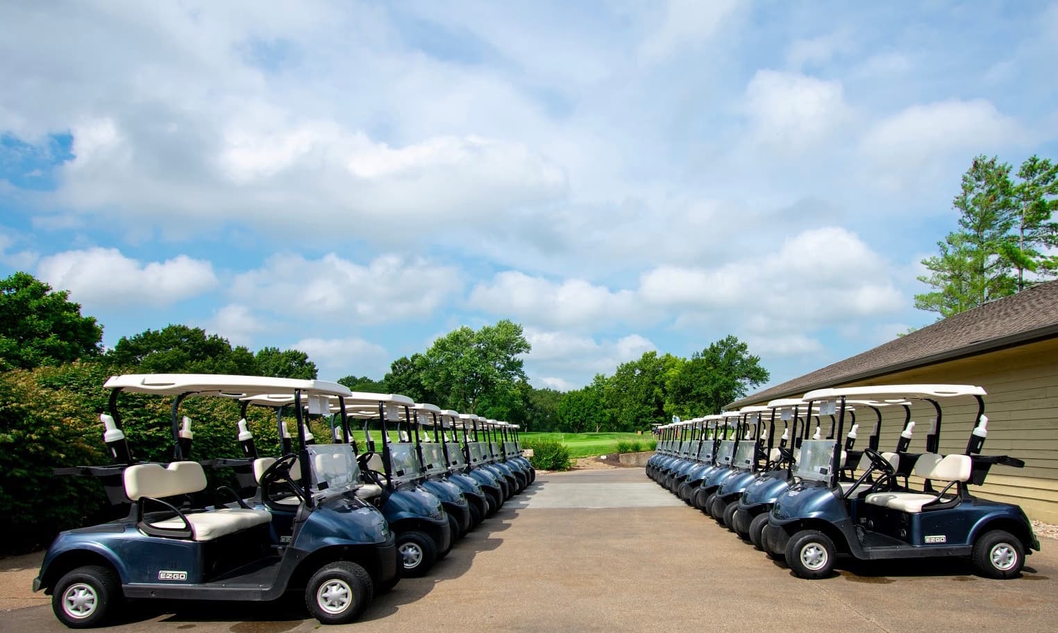 Dub's Dread Golf Club - Image 3