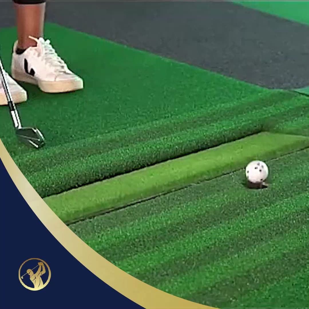 Pro-Am Golf Club - Image 1