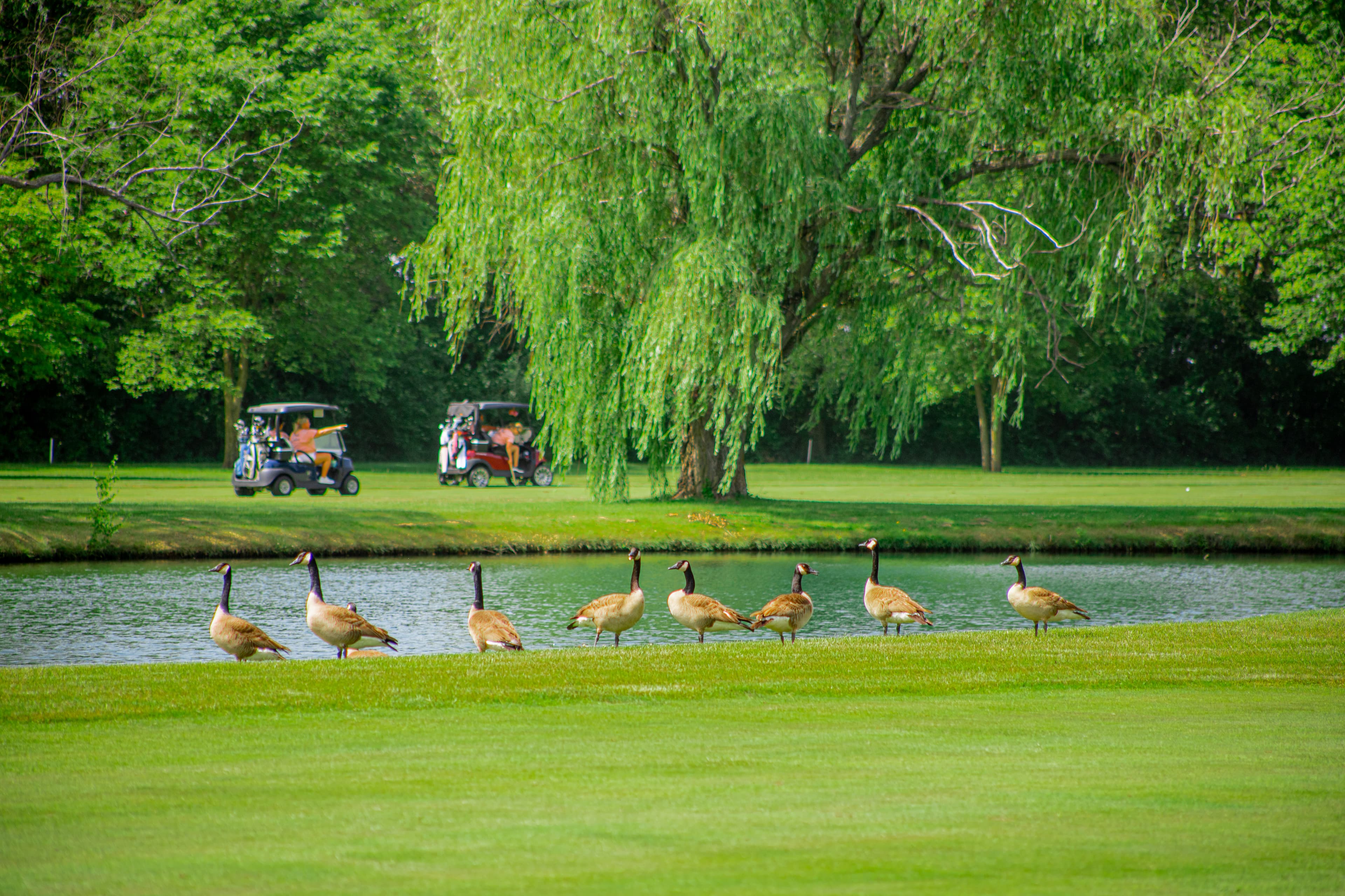 The Oaks At River's Edge - Image 8