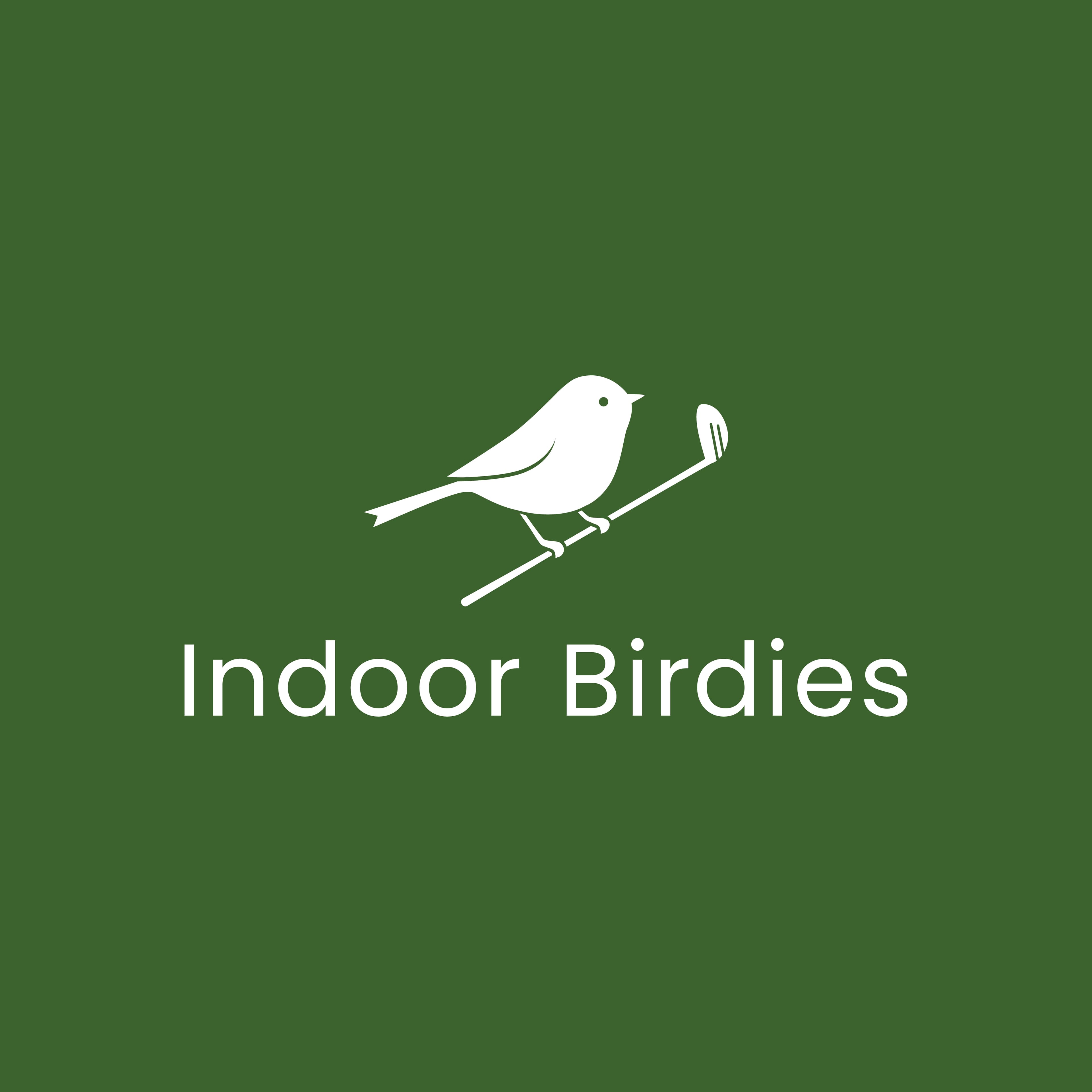 Indoor Birdies - Image 1