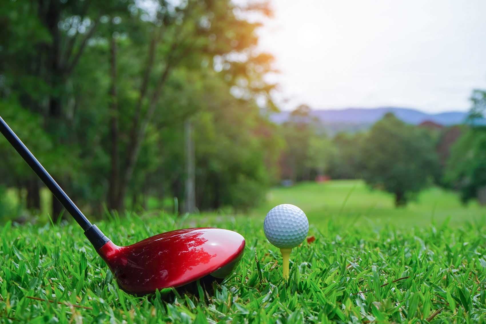 On The Fringe - Image 2