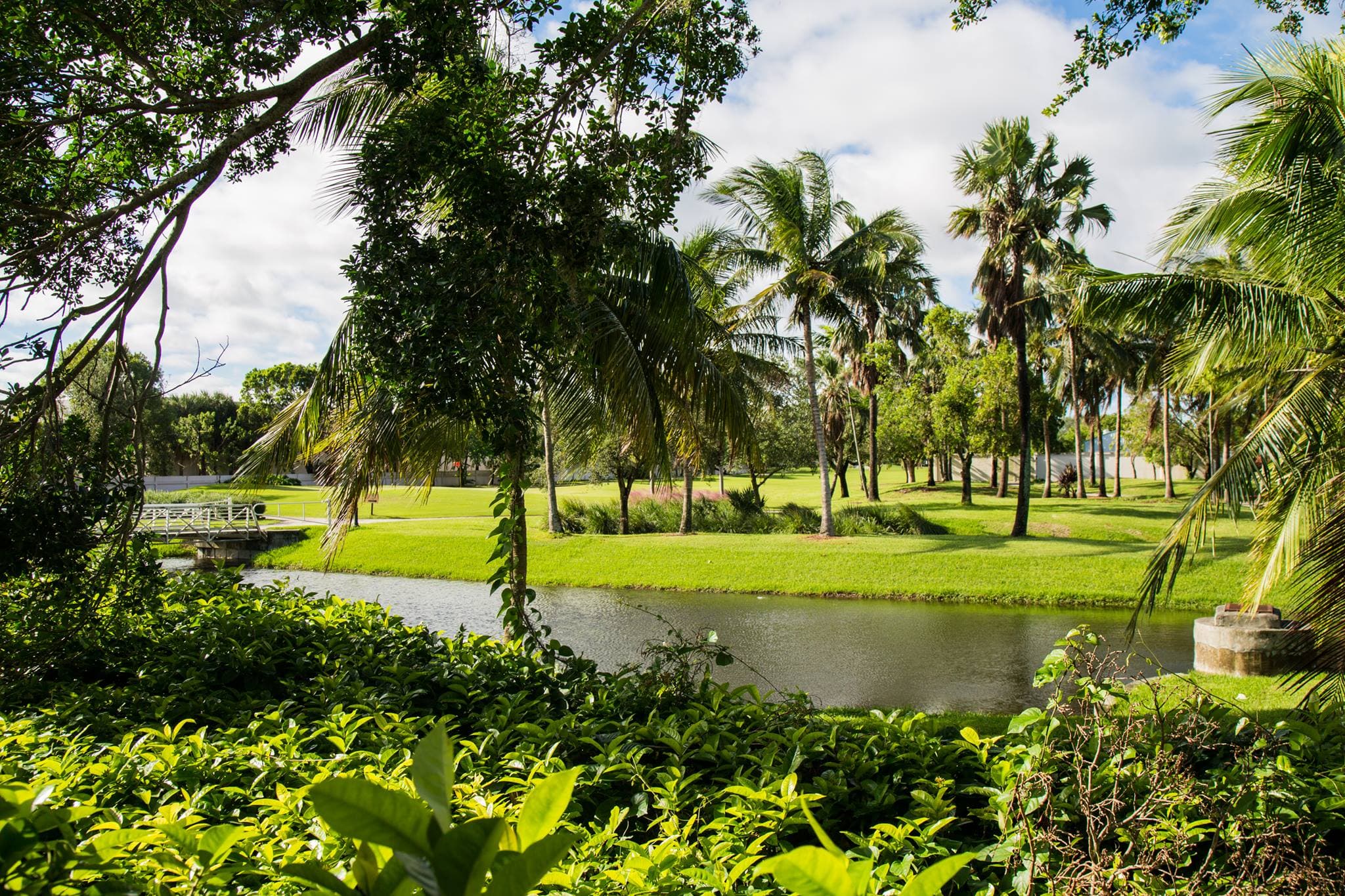 The Bridges at Springtree Golf Club - Image 5