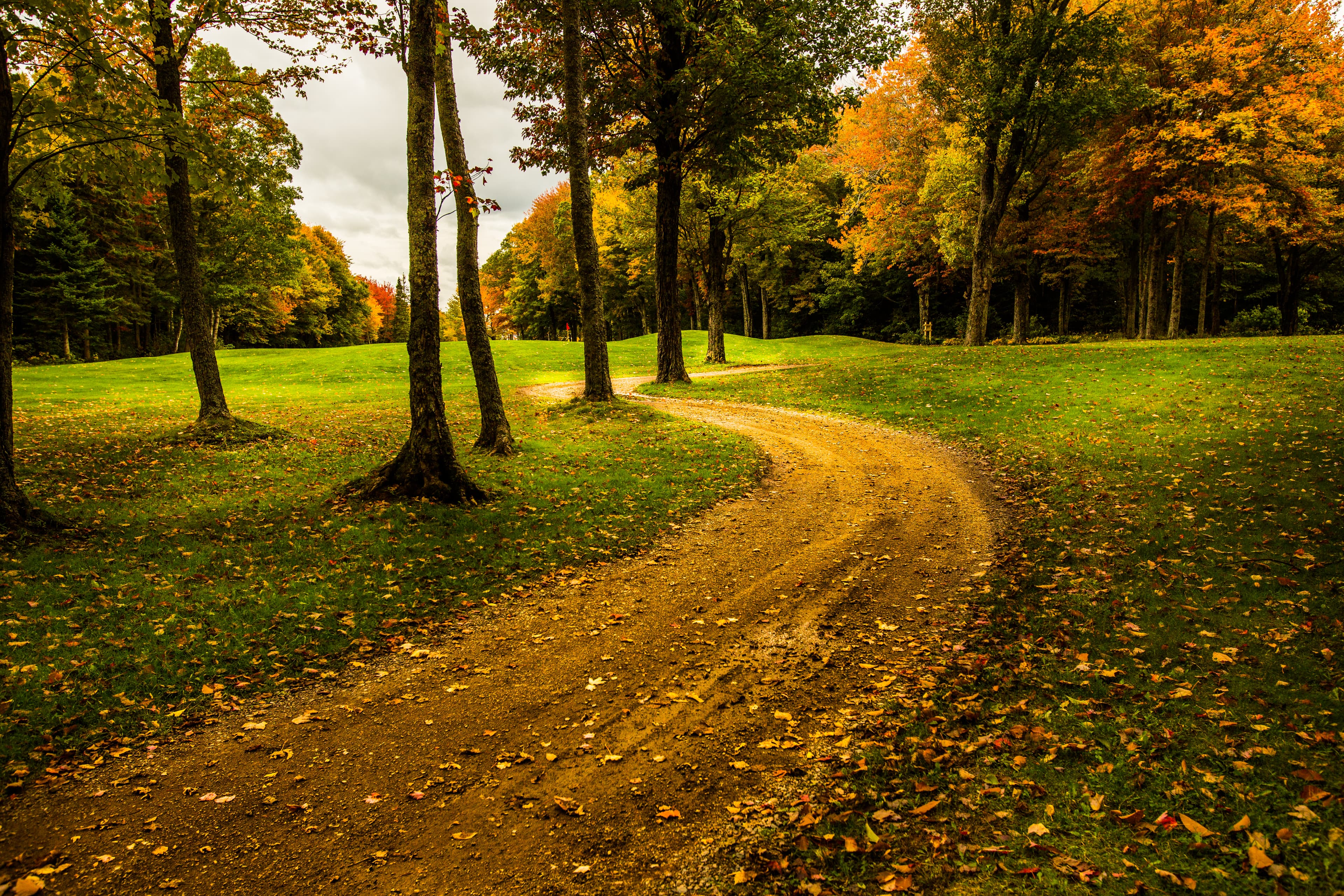 Belvedere Golf Club Inc - Image 1