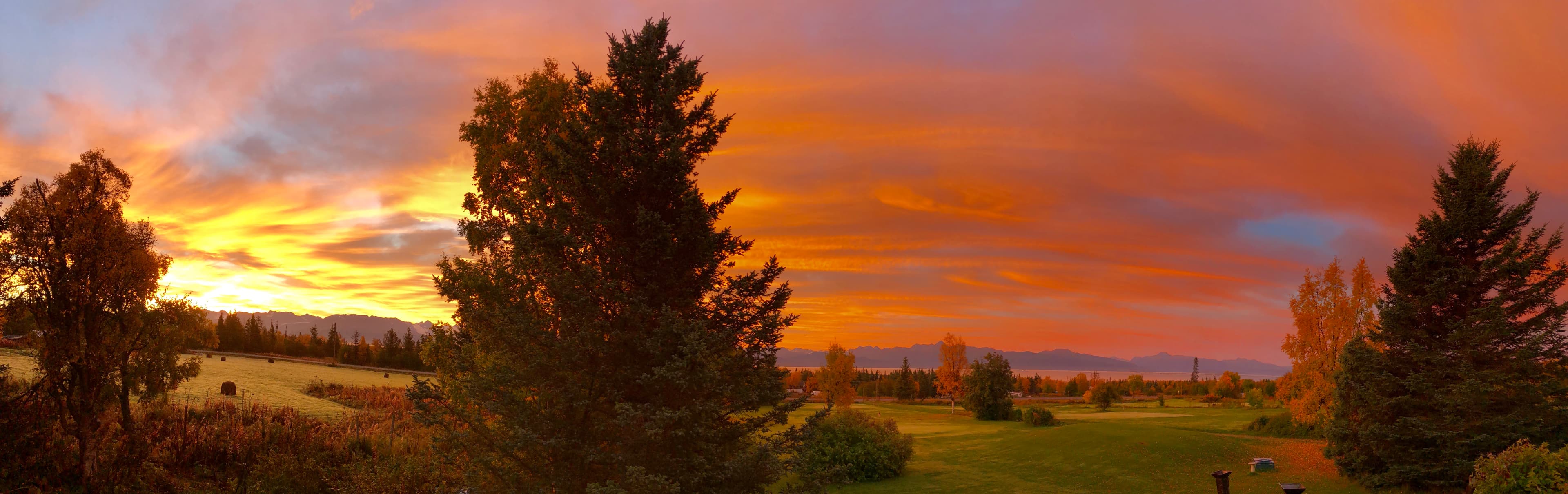 Homer Golf Course - Image 9