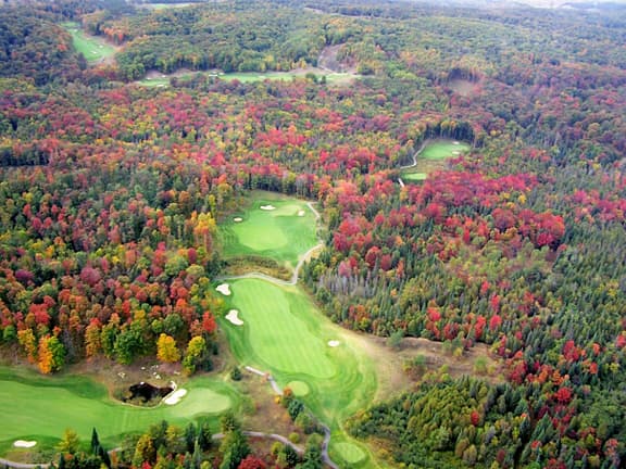 Gaylord Golf Mecca - Image 6