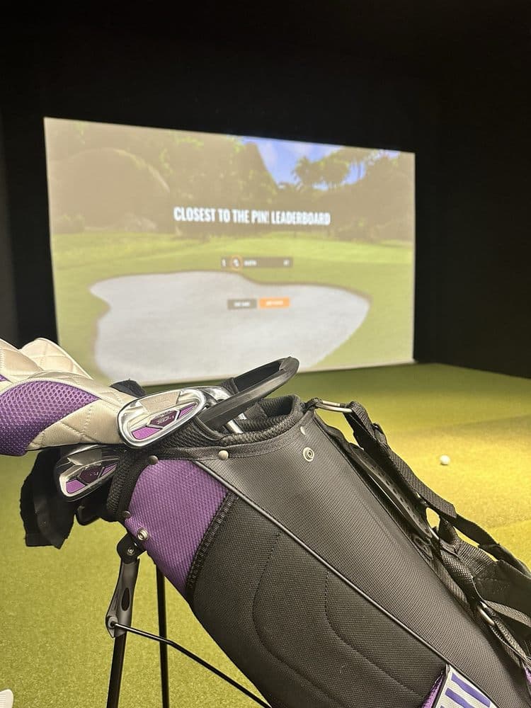 The Back Nine Golf | Chandler, AZ - Image 5