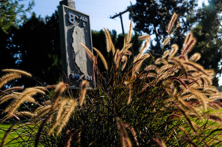 Anaheim Hills Golf Club - Image 10