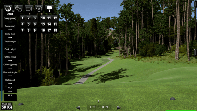 golf simulator guys - Image 7