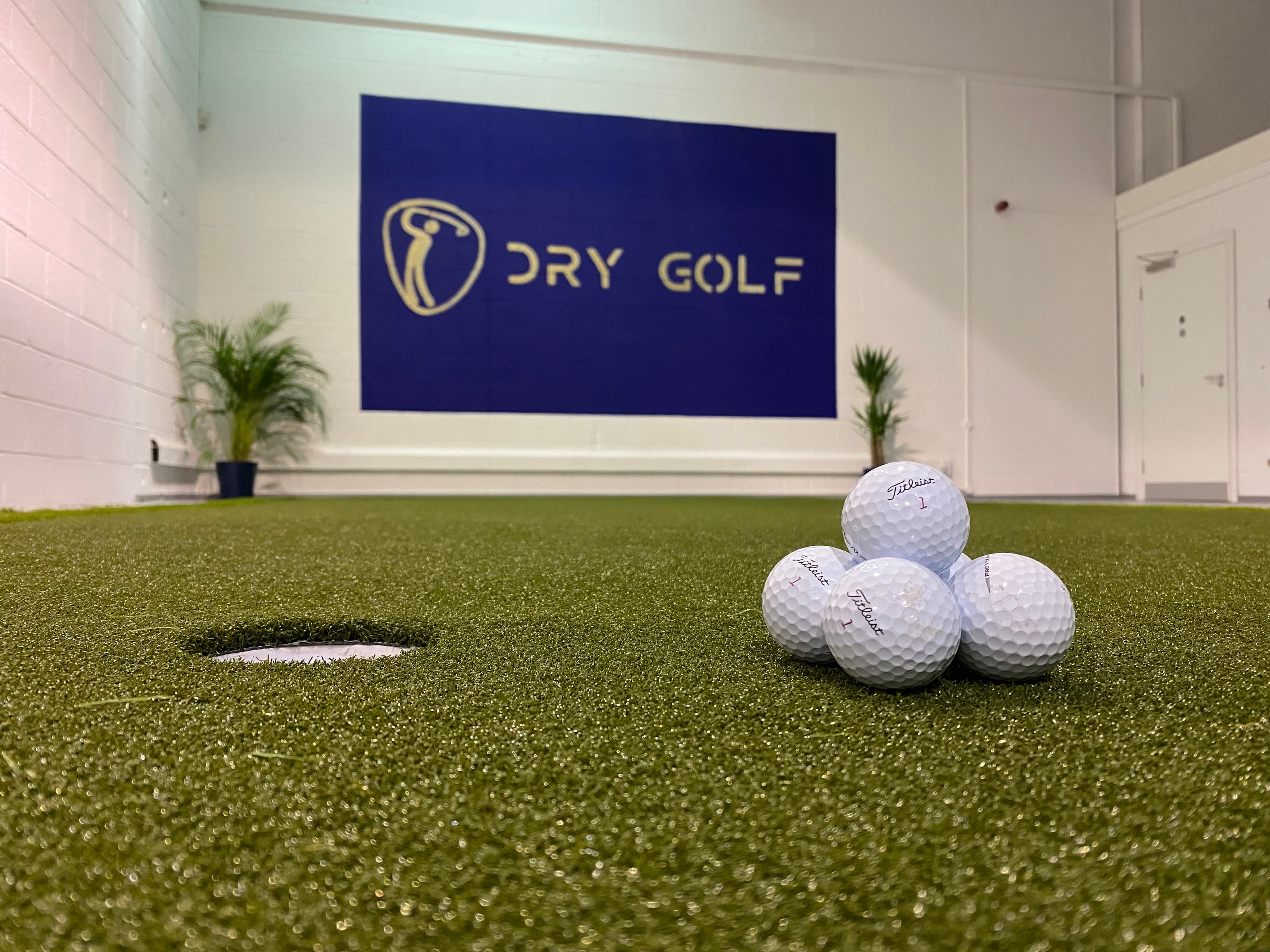 Dry Golf - Image 3