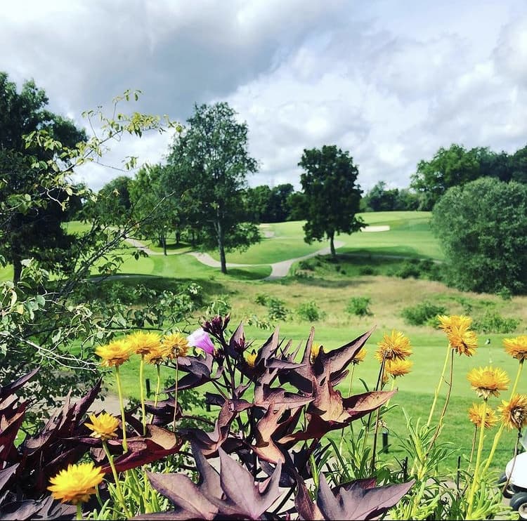 Blackthorn Golf Academy - Image 8