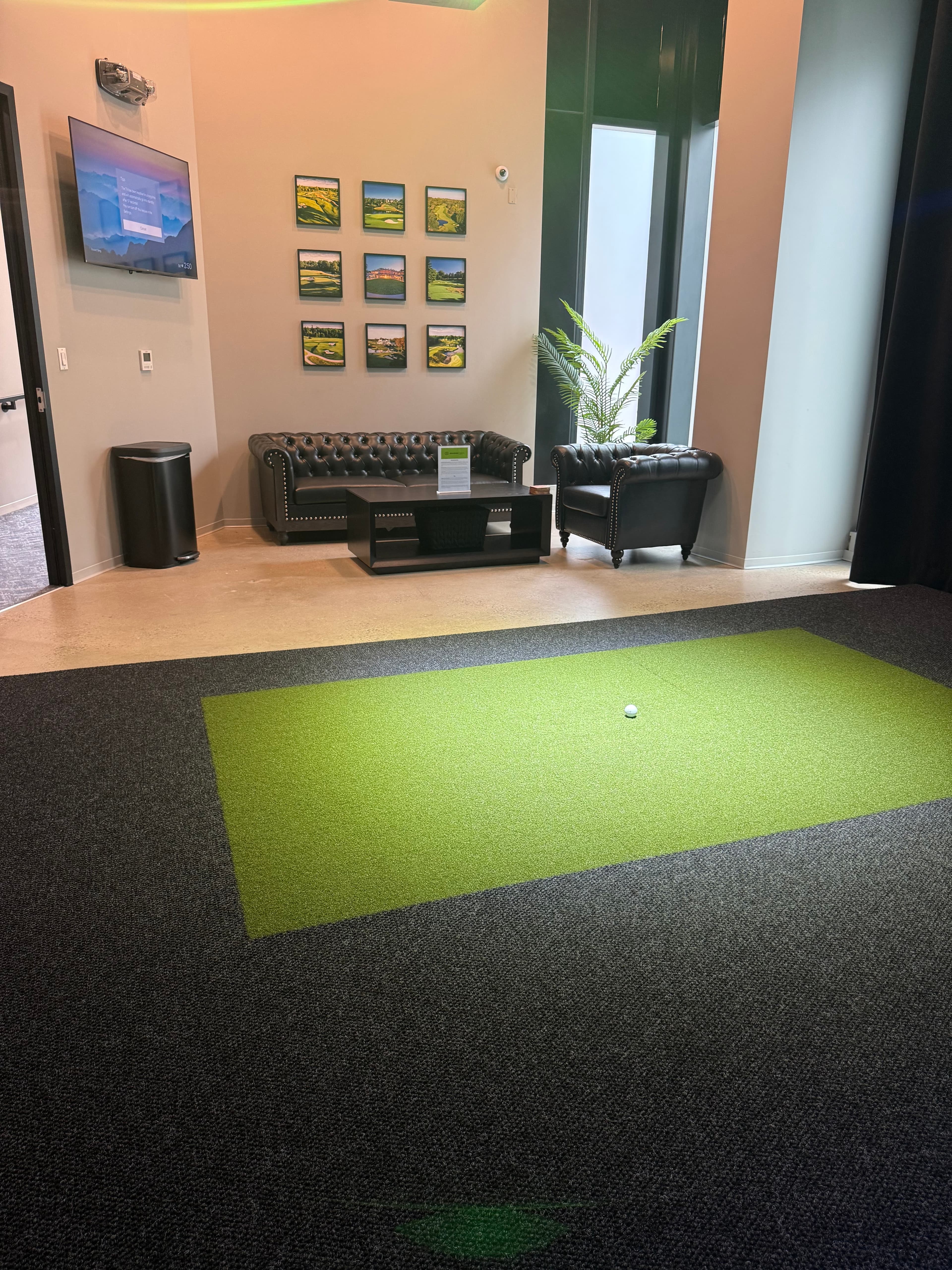 Swing365 Golf DC - Image 9