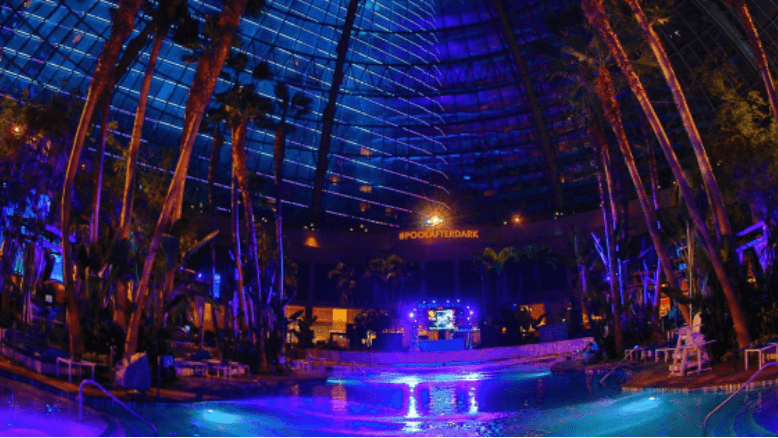 The Pool After Dark Nightlife - Image 1