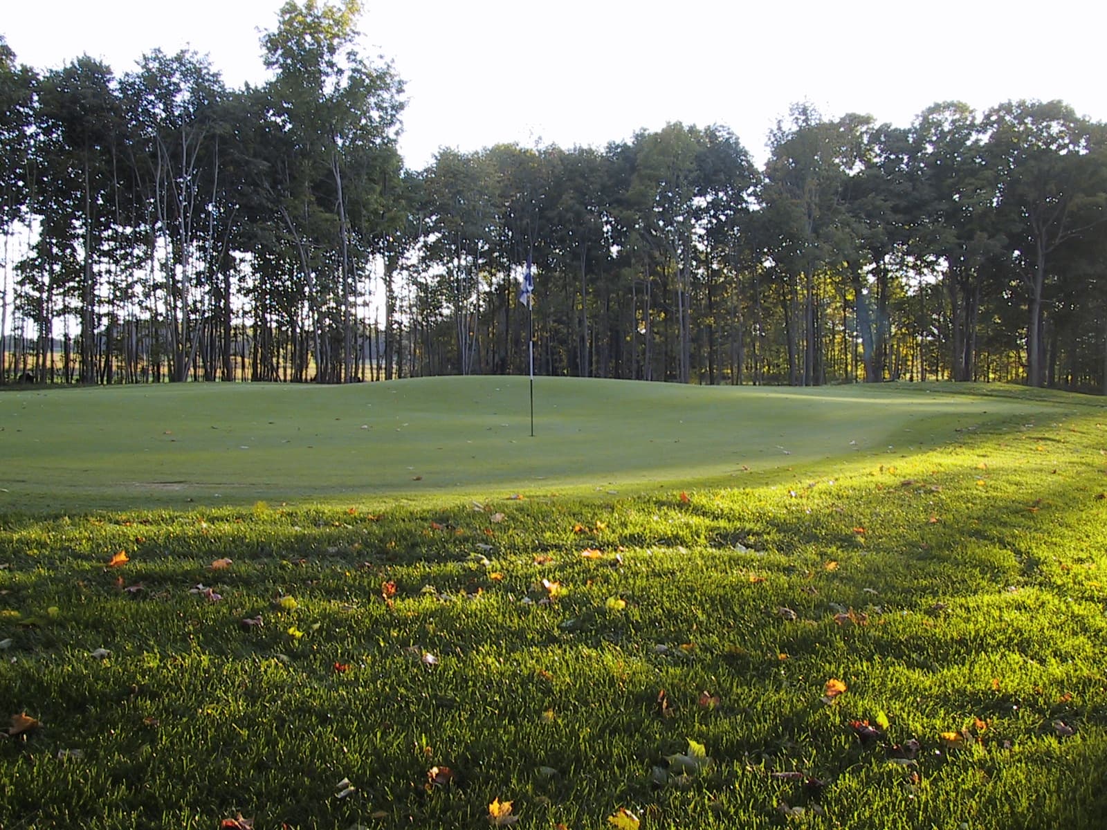 Royal Scot Golf - Image 5