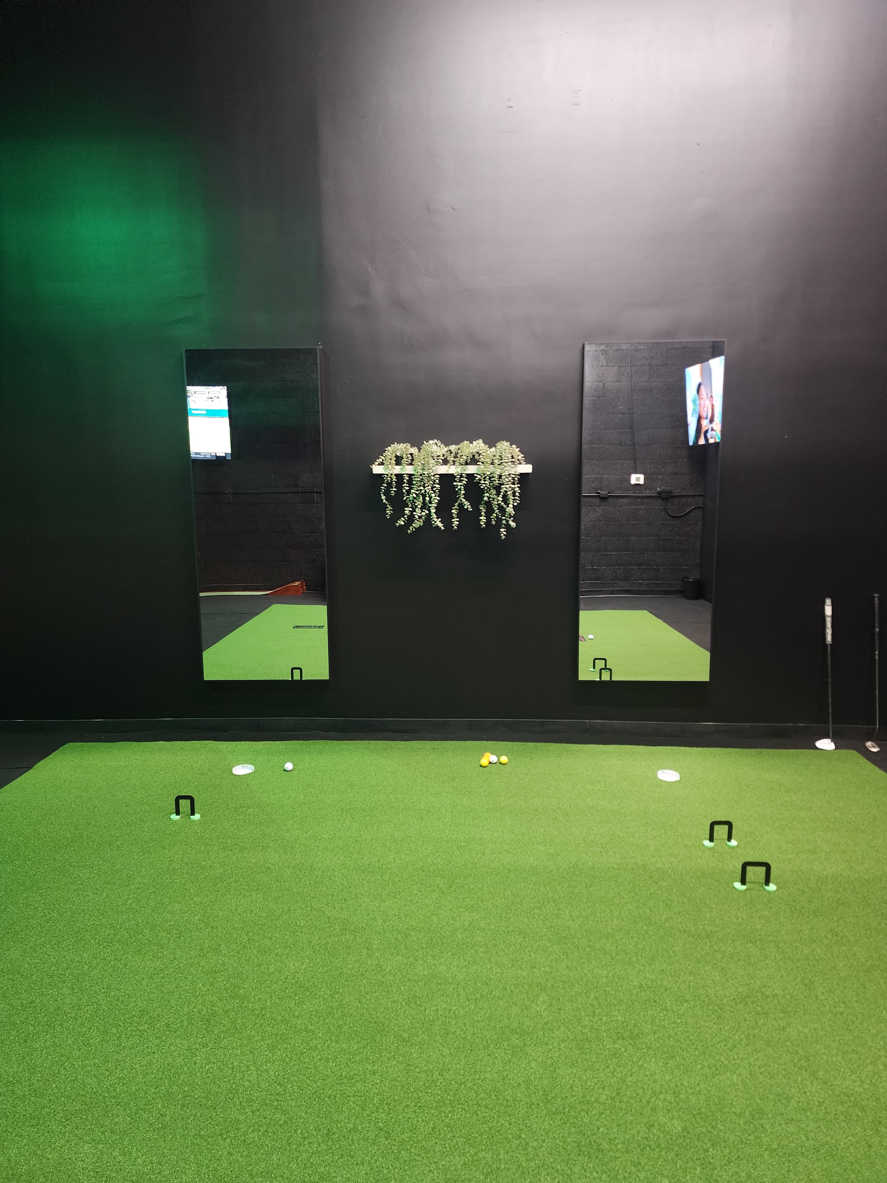 Par Lab Golf - Image 8