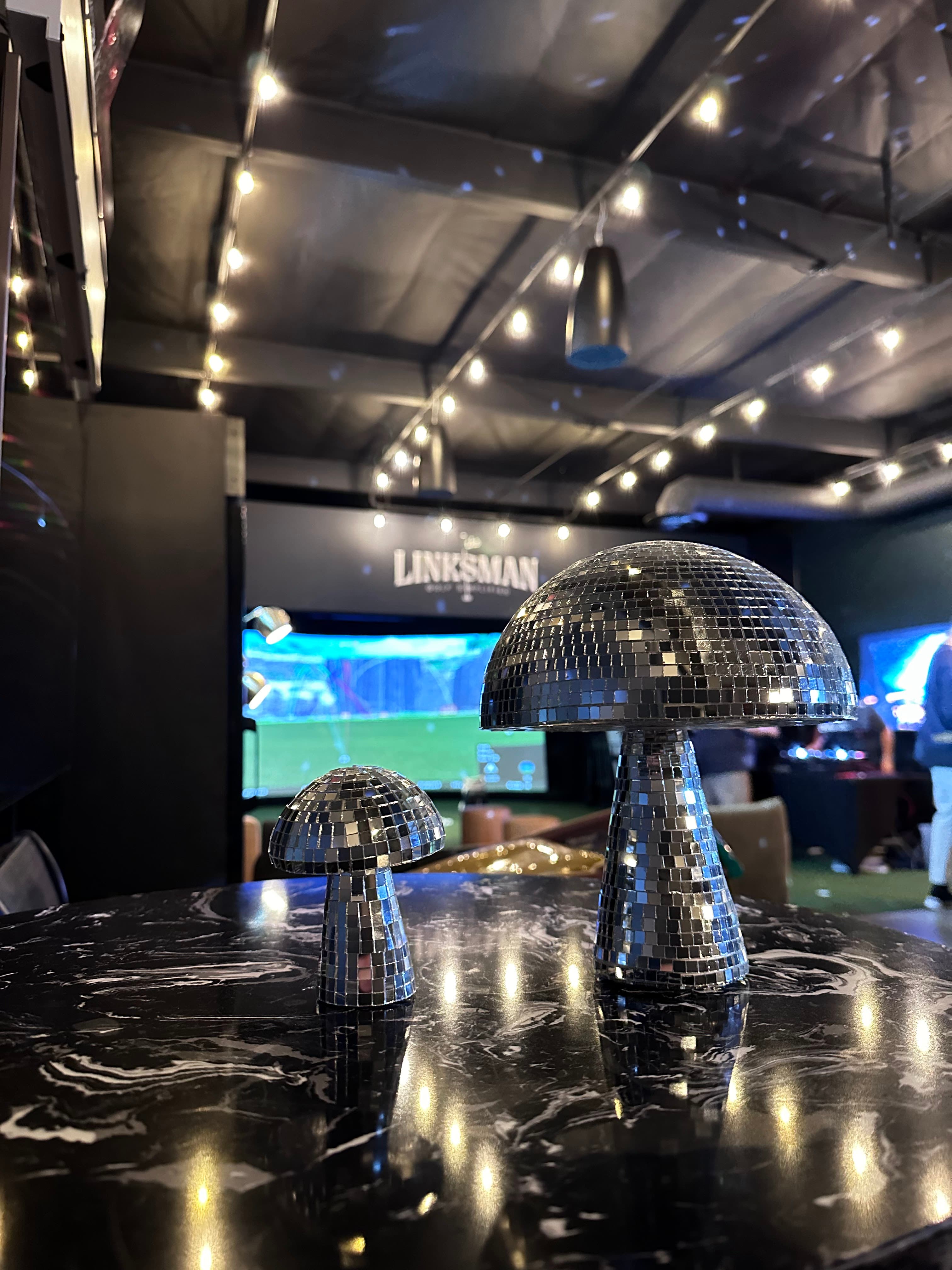 The Linksman - Image 8