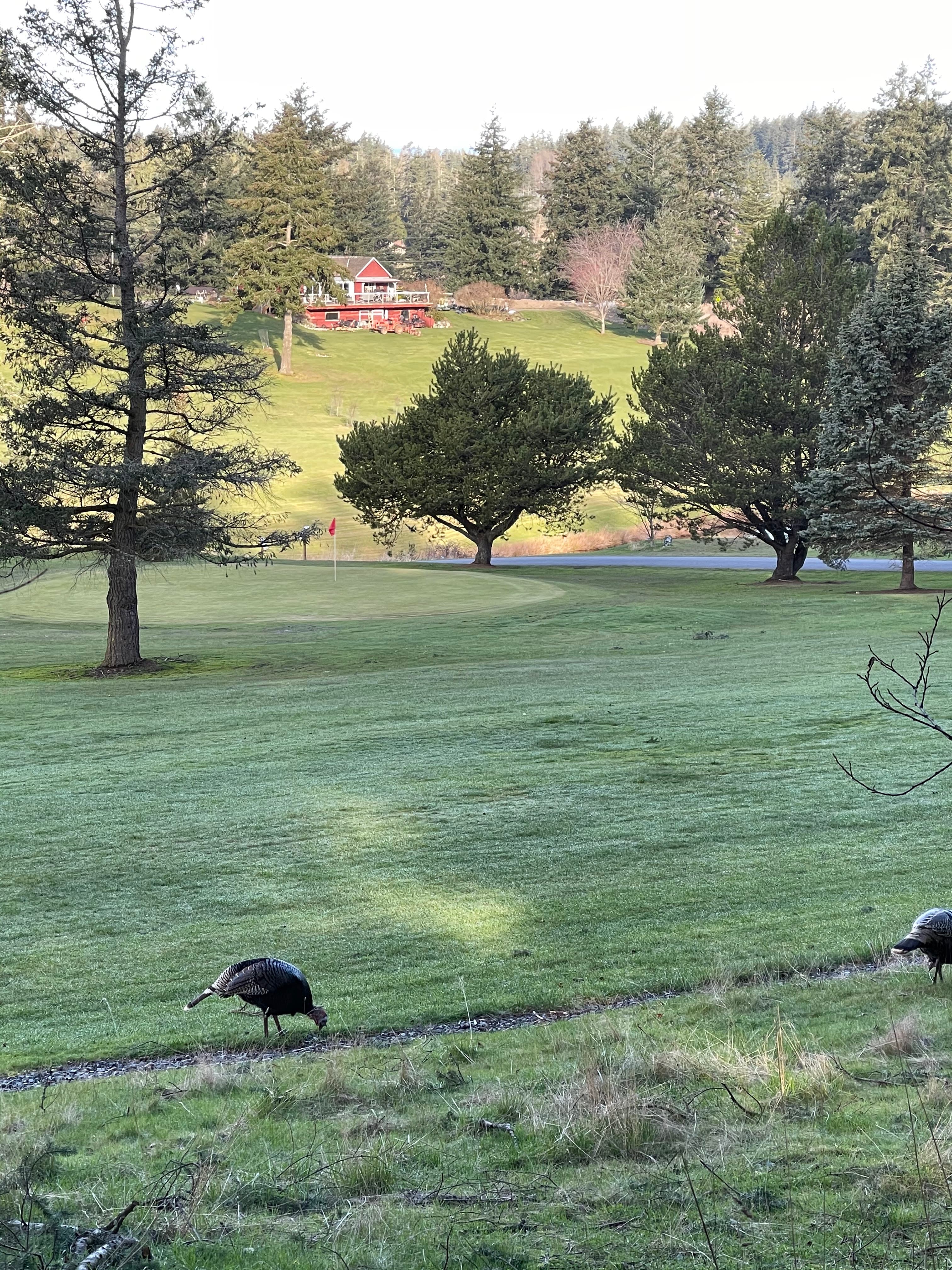 Orcas Island Golf Course - Image 5