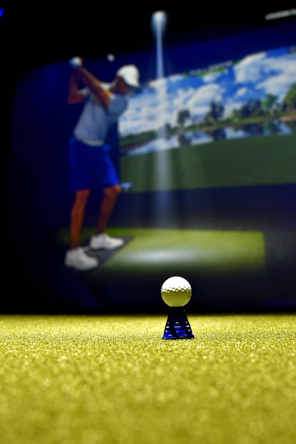 Swingback VGolf - Image 6