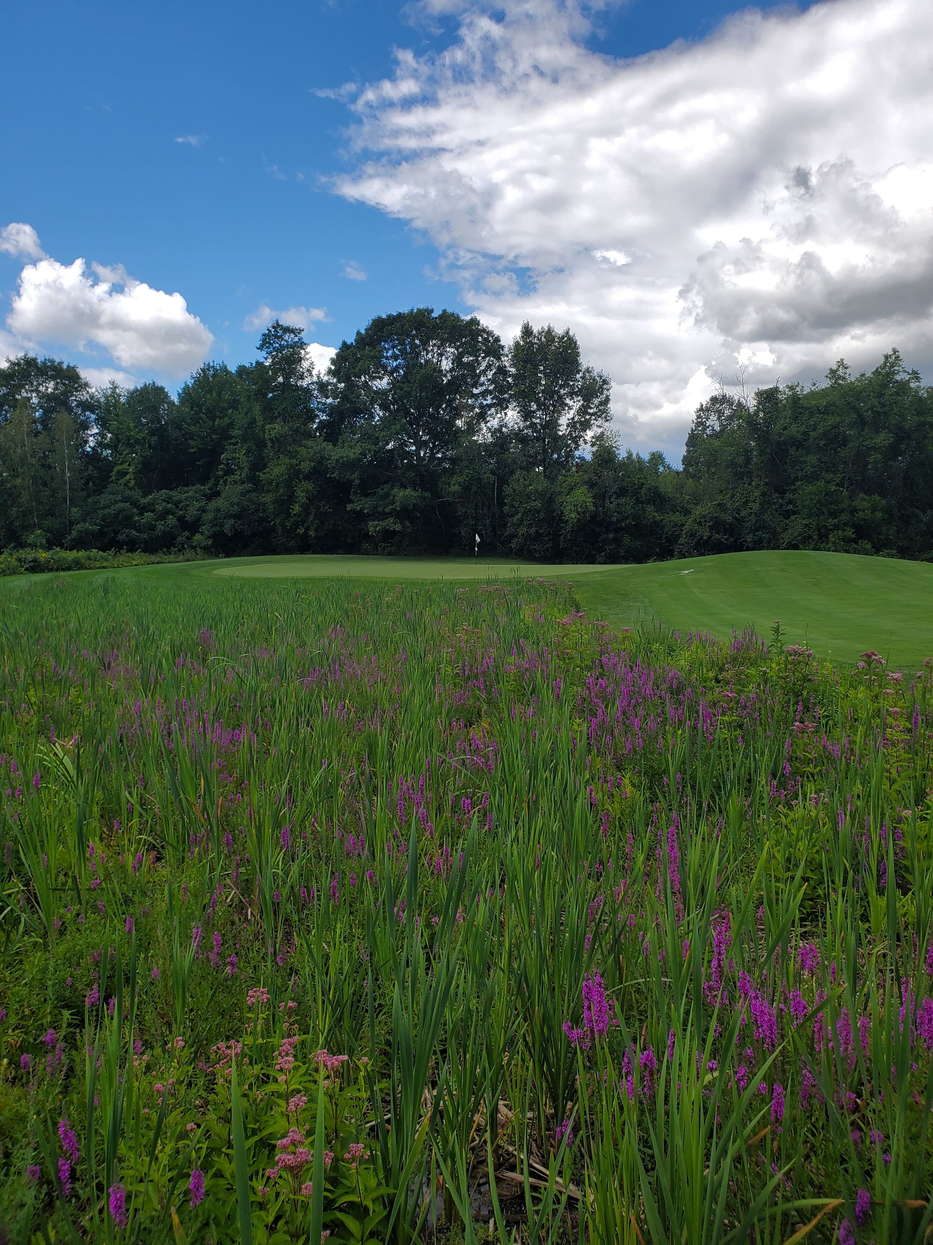 The Links at Lang Farm - Image 10